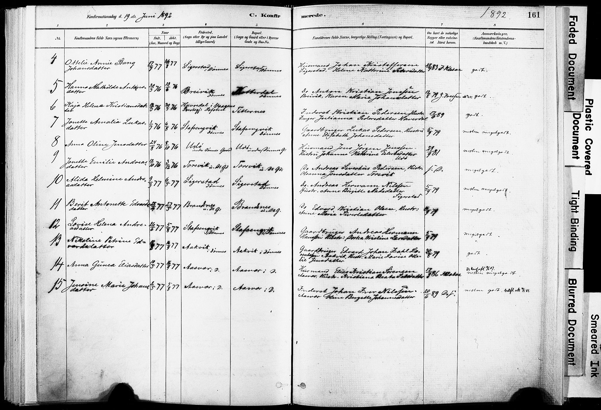 Ministerialprotokoller, klokkerbøker og fødselsregistre - Nordland, SAT/A-1459/835/L0525: Parish register (official) no. 835A03I, 1881-1910, p. 161