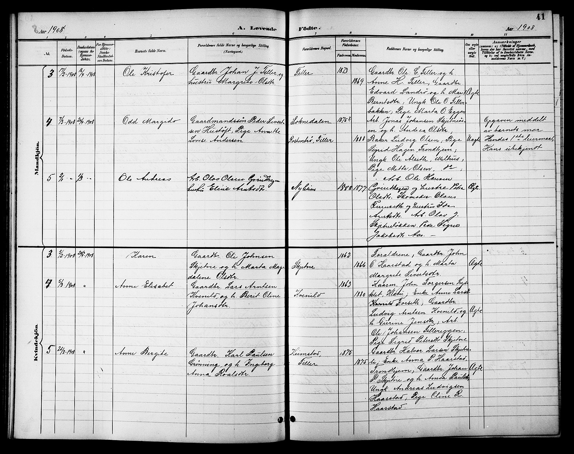 Ministerialprotokoller, klokkerbøker og fødselsregistre - Sør-Trøndelag, SAT/A-1456/621/L0460: Parish register (copy) no. 621C03, 1896-1914, p. 41
