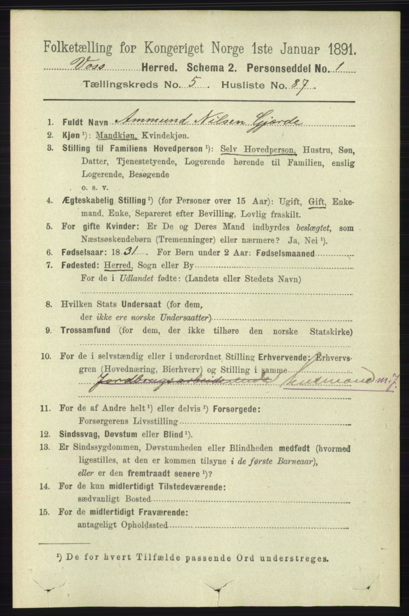 RA, 1891 census for 1235 Voss, 1891, p. 3204