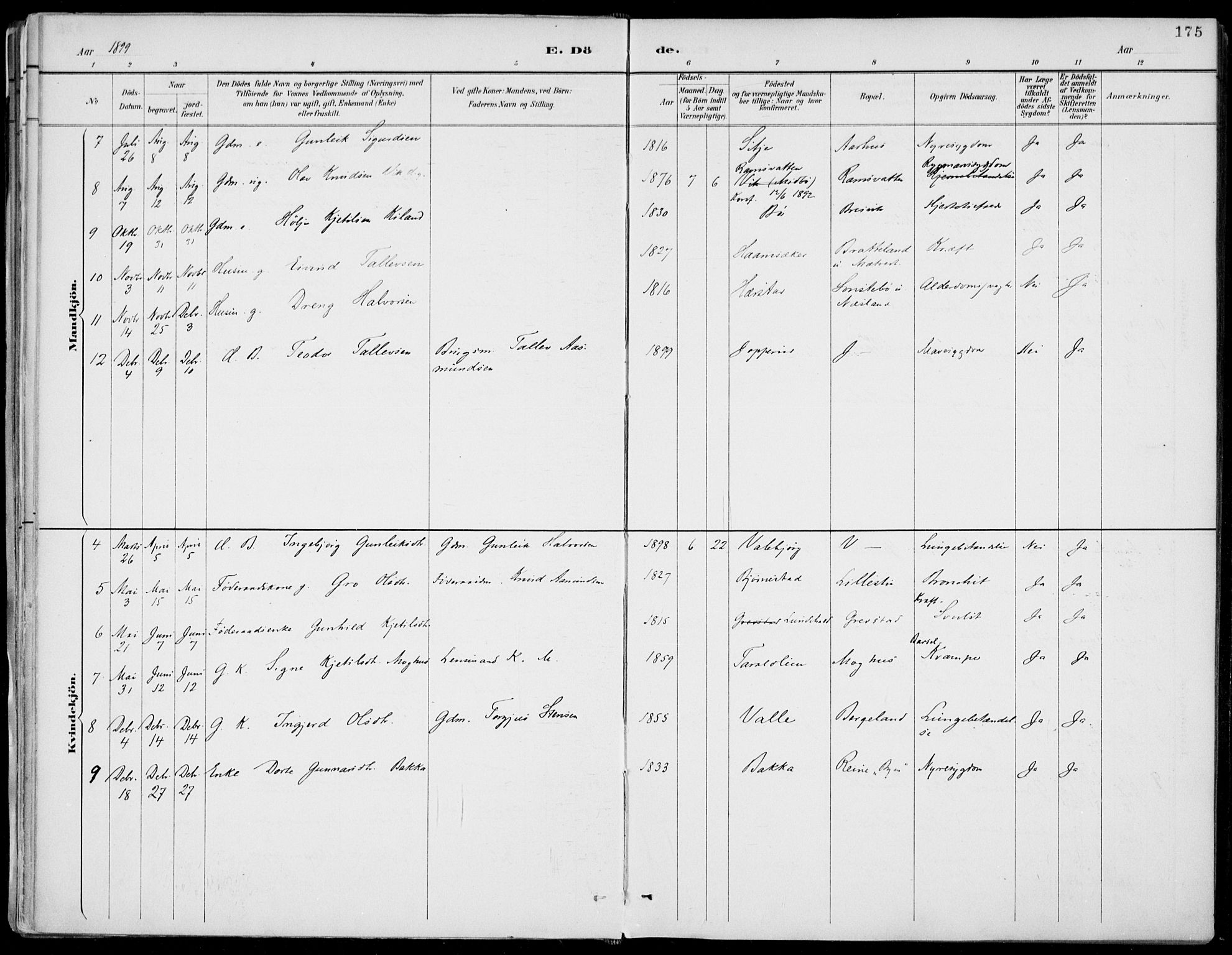 Fyresdal kirkebøker, SAKO/A-263/F/Fa/L0007: Parish register (official) no. I 7, 1887-1914, p. 175