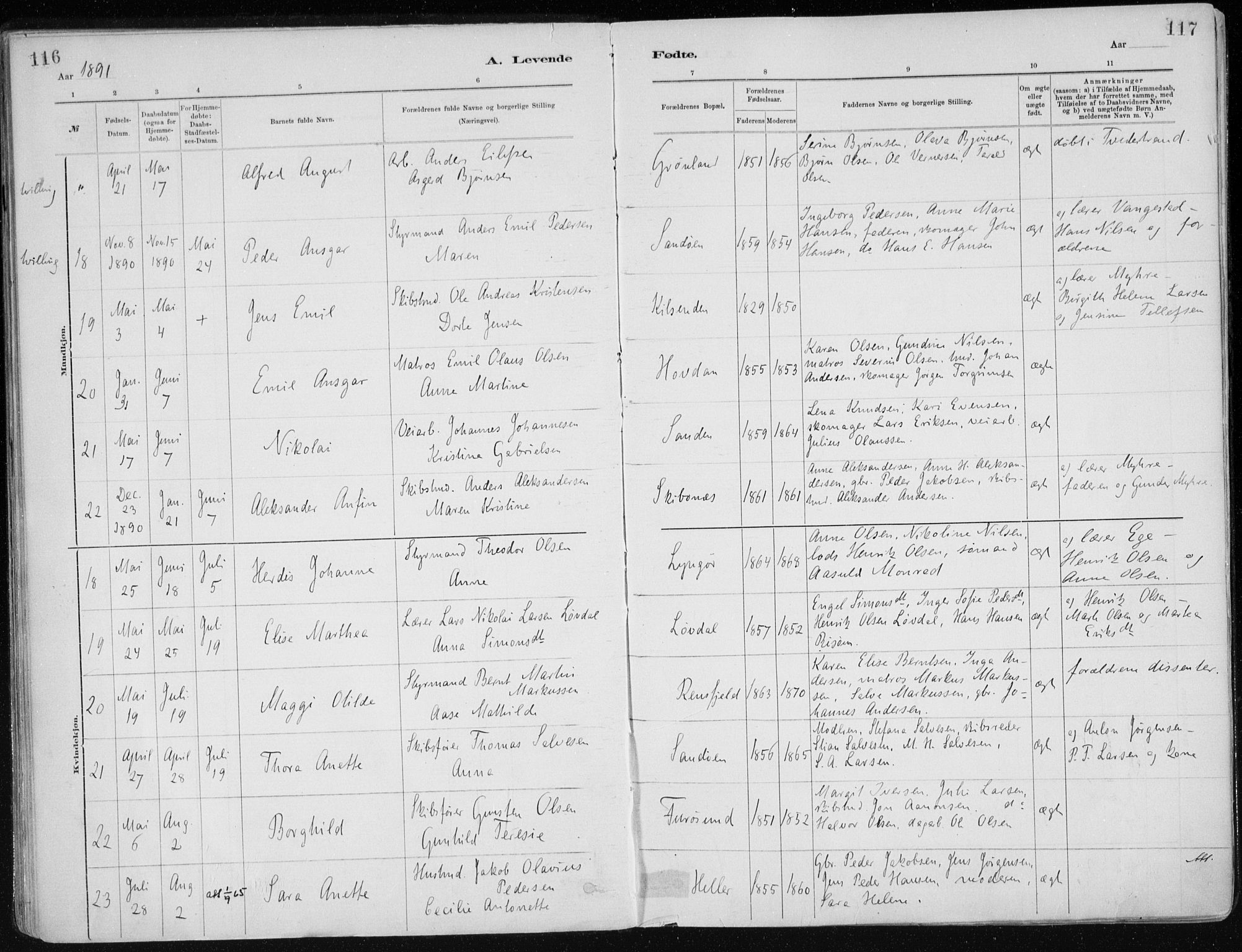 Dypvåg sokneprestkontor, SAK/1111-0007/F/Fa/Faa/L0008: Parish register (official) no. A 8, 1885-1906, p. 116-117