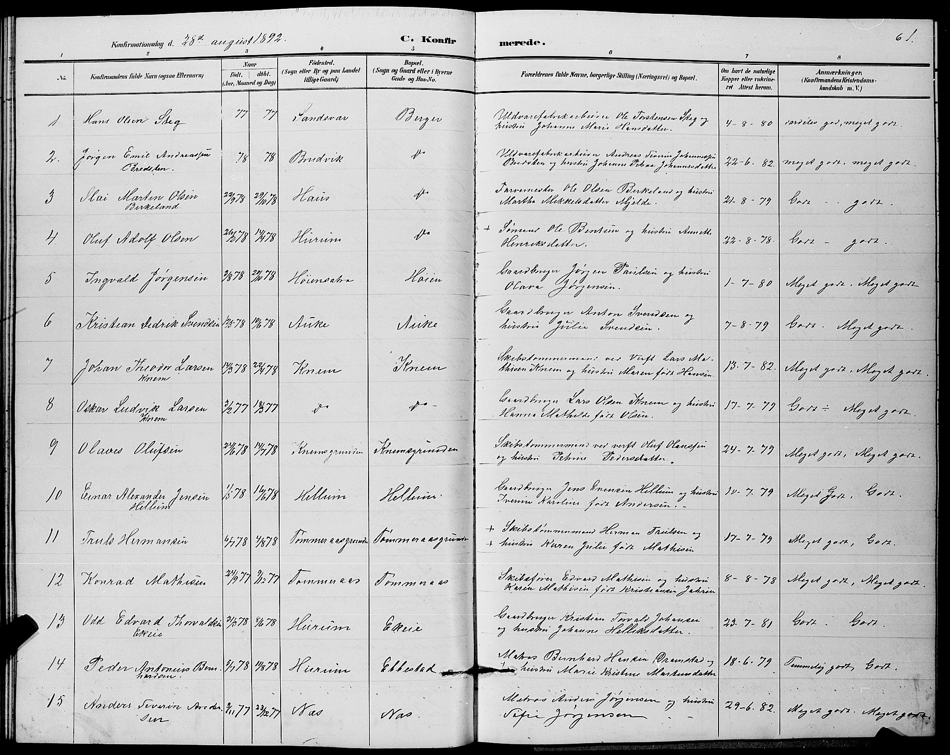 Strømm kirkebøker, SAKO/A-322/G/Ga/L0003: Parish register (copy) no. I 3, 1889-1896, p. 61