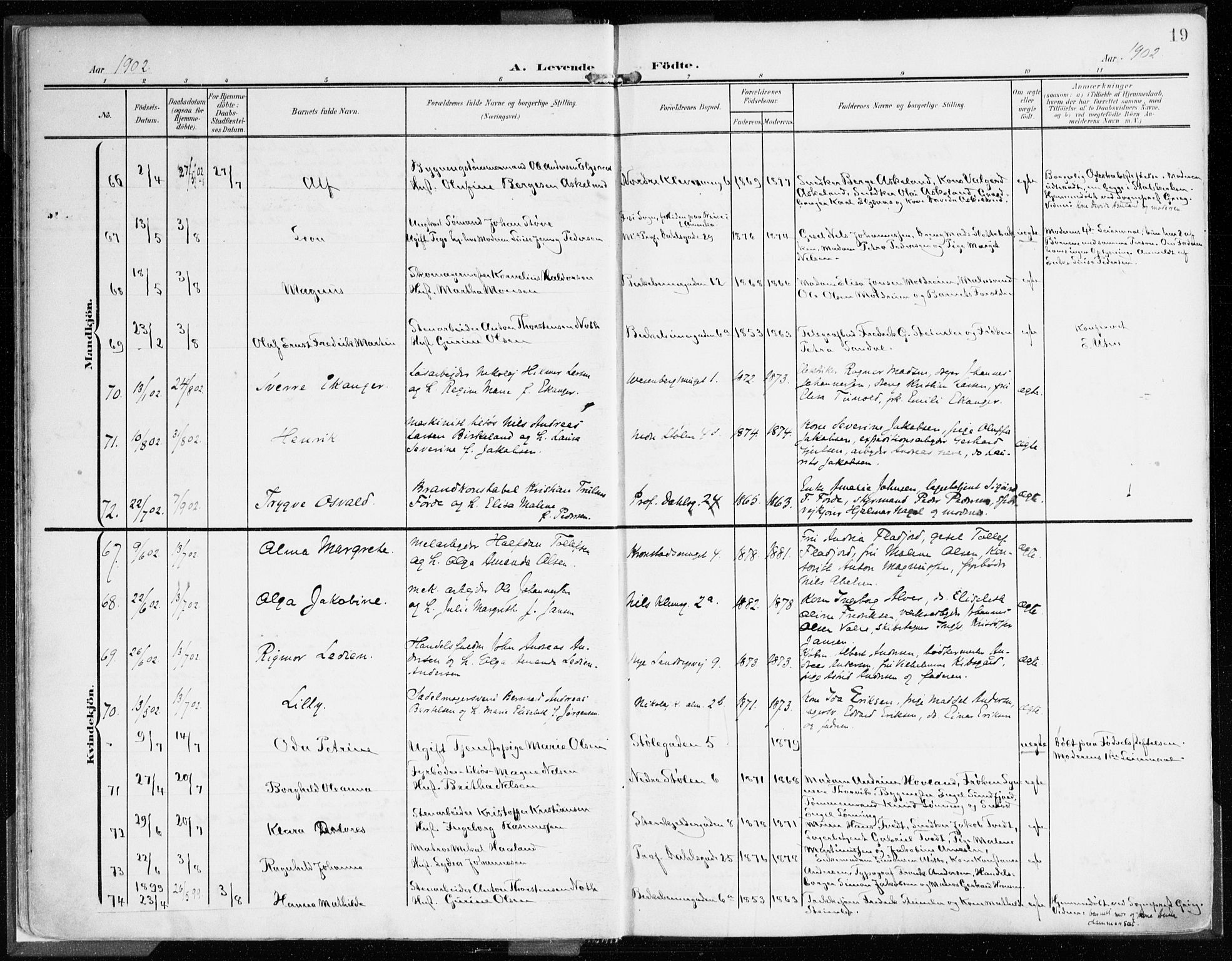 Mariakirken Sokneprestembete, AV/SAB-A-76901/H/Haa/L0010: Parish register (official) no. B 1, 1901-1915, p. 19