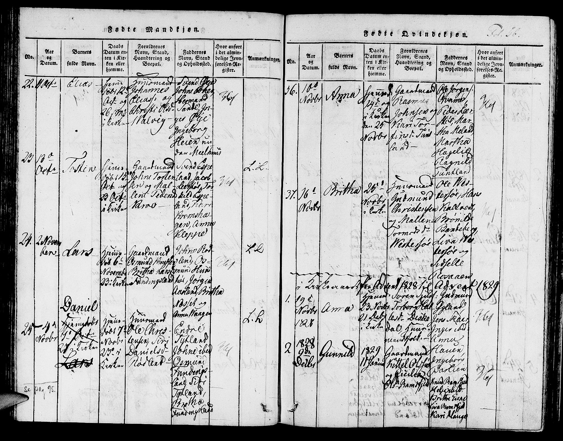 Hjelmeland sokneprestkontor, AV/SAST-A-101843/01/IV/L0003: Parish register (official) no. A 3, 1816-1834, p. 56