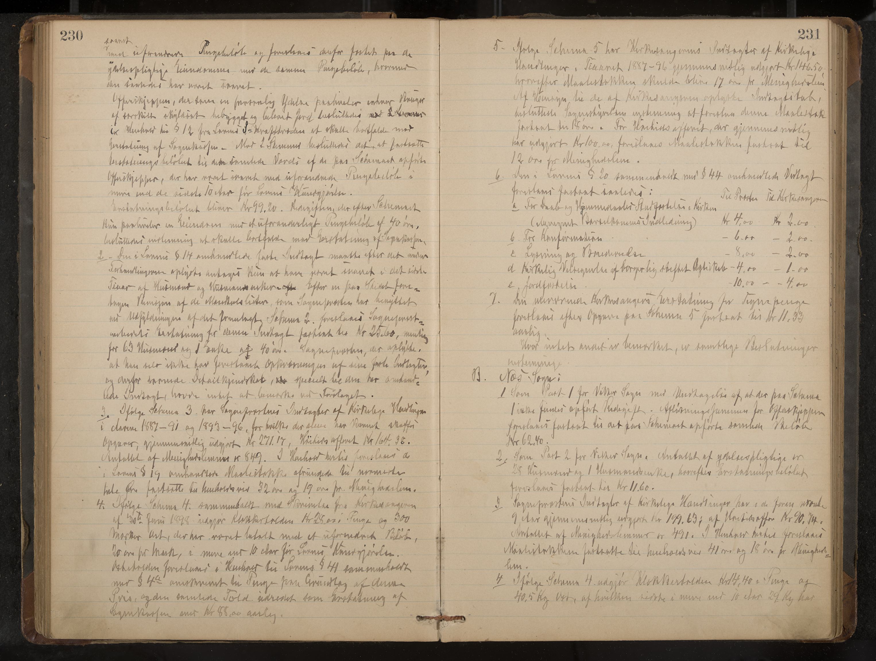 Ådal formannskap og sentraladministrasjon, IKAK/0614021/A/Aa/L0002: Møtebok, 1891-1907, p. 230-231