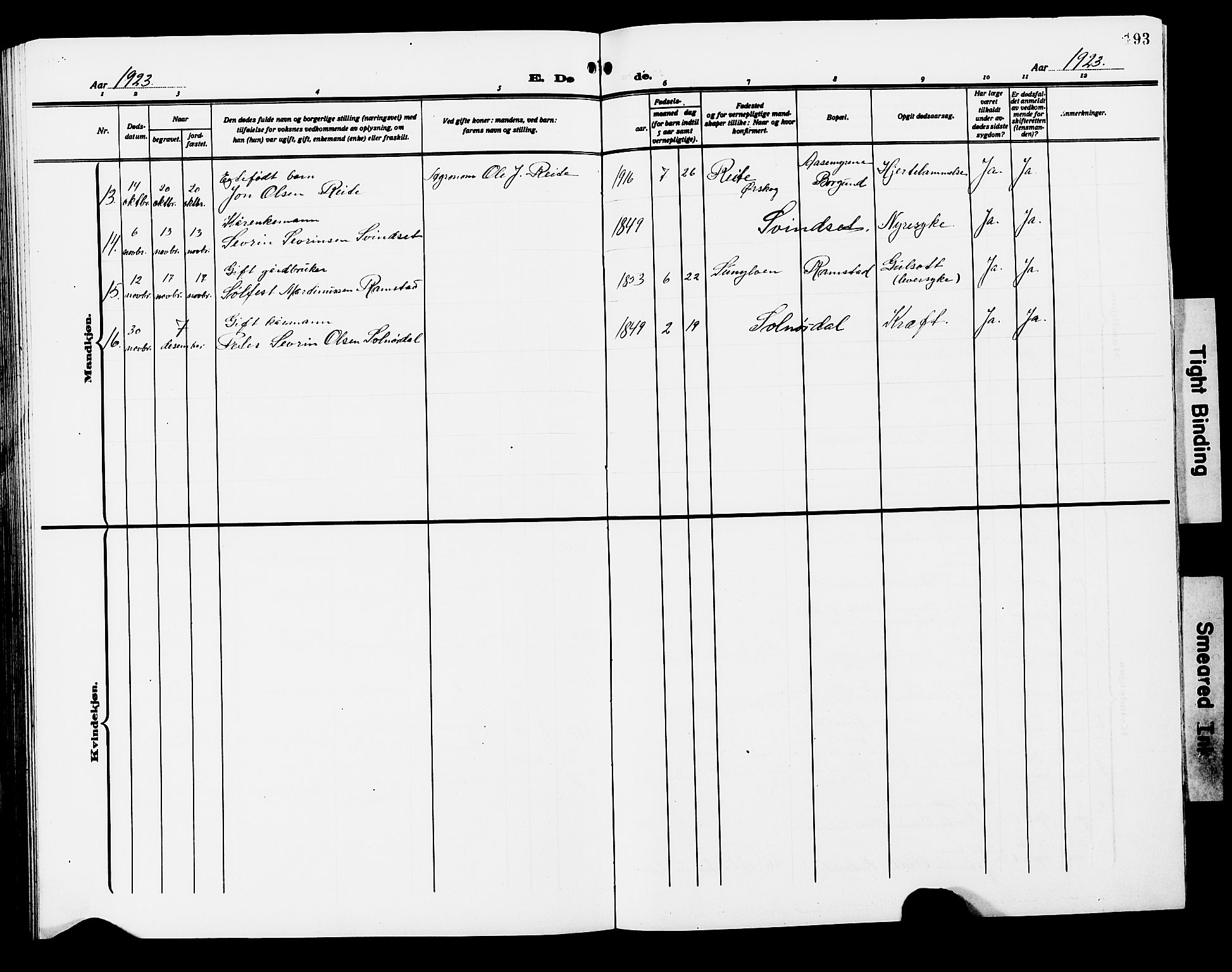 Ministerialprotokoller, klokkerbøker og fødselsregistre - Møre og Romsdal, SAT/A-1454/522/L0328: Parish register (copy) no. 522C07, 1909-1925, p. 193