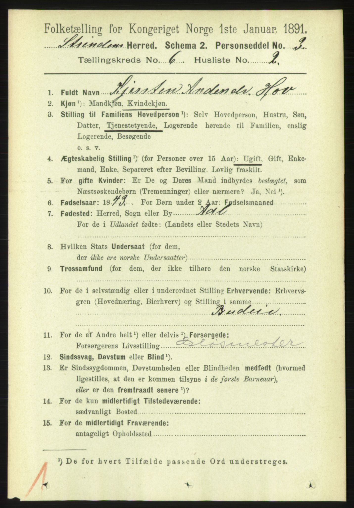 RA, 1891 census for 1660 Strinda, 1891, p. 5305