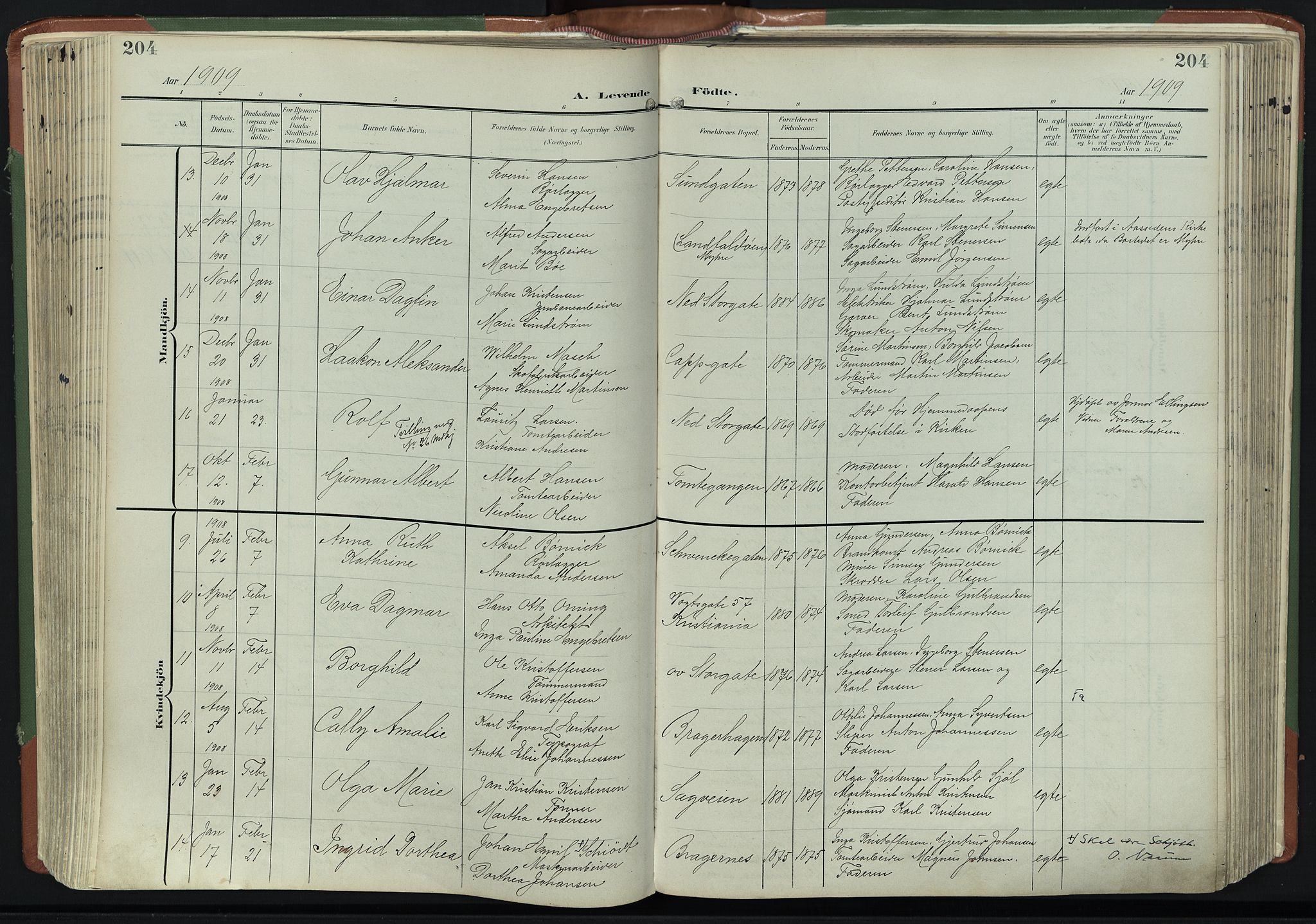 Bragernes kirkebøker, AV/SAKO-A-6/F/Fb/L0009: Parish register (official) no. II 9, 1902-1911, p. 204