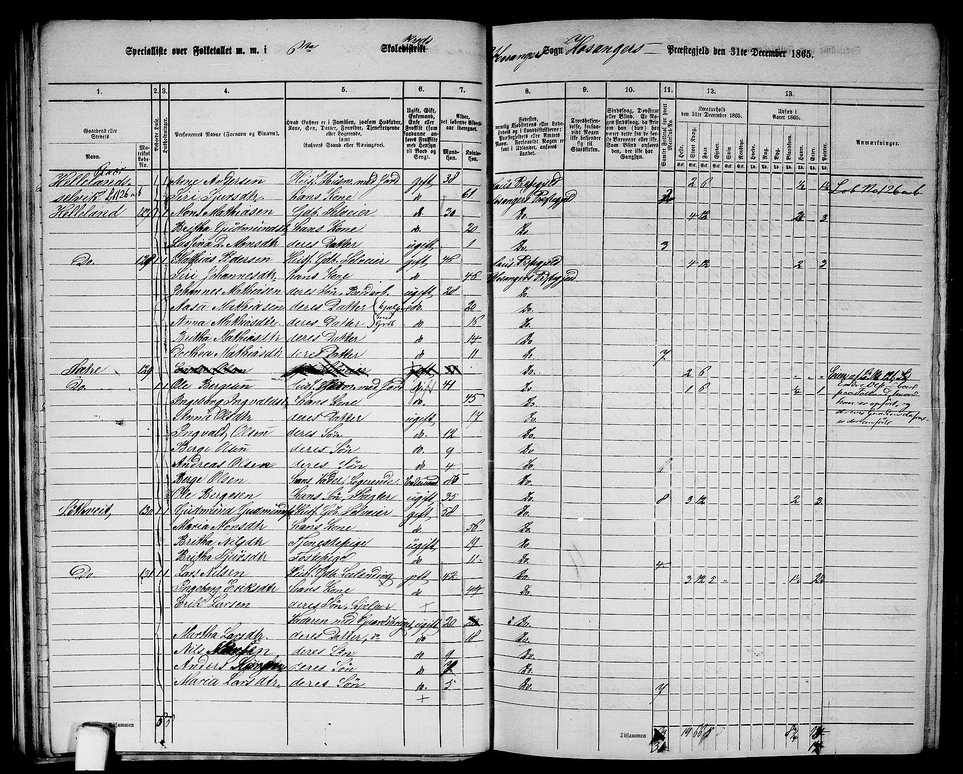 RA, 1865 census for Hosanger, 1865, p. 46