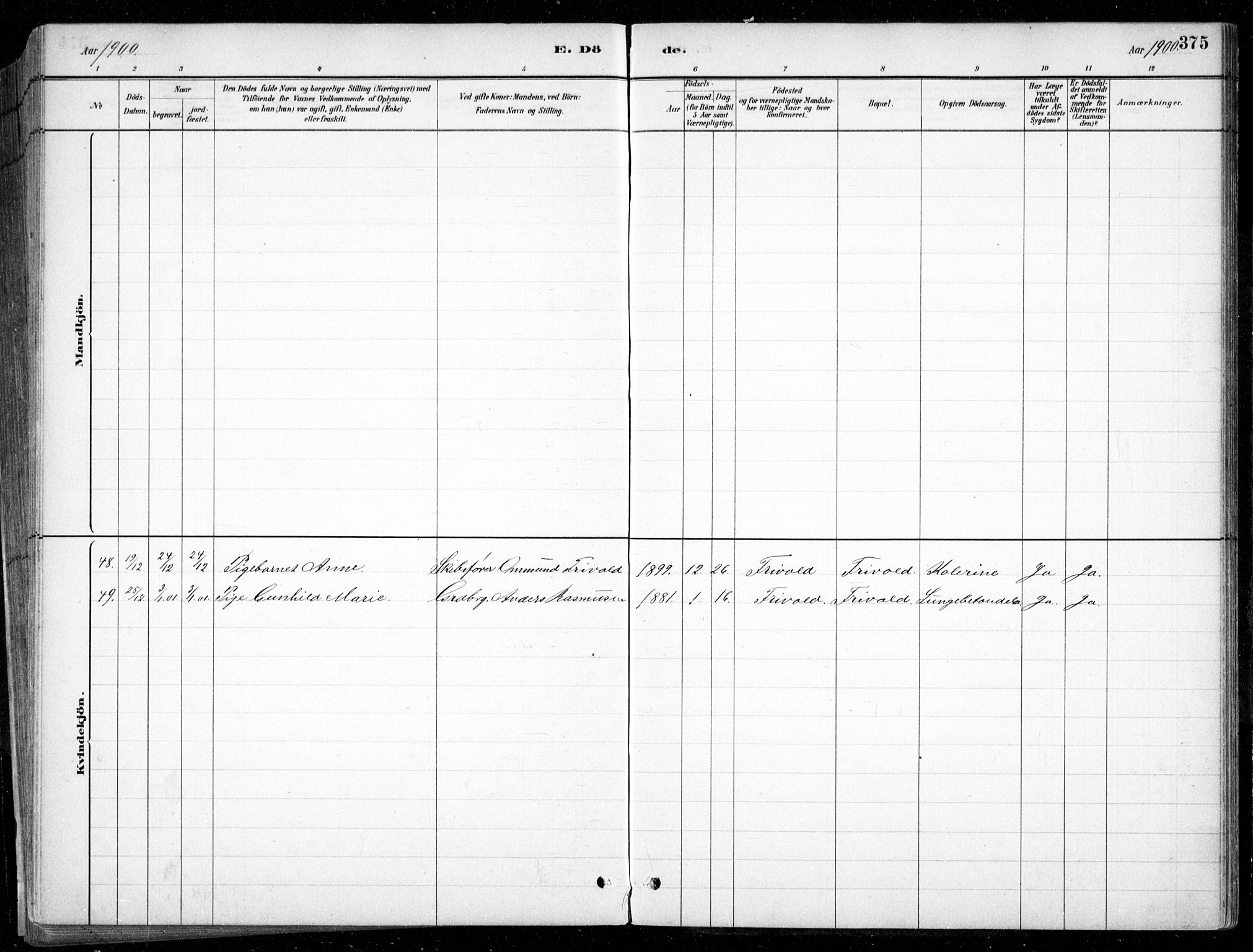 Fjære sokneprestkontor, AV/SAK-1111-0011/F/Fb/L0011: Parish register (copy) no. B 11, 1881-1905, p. 375