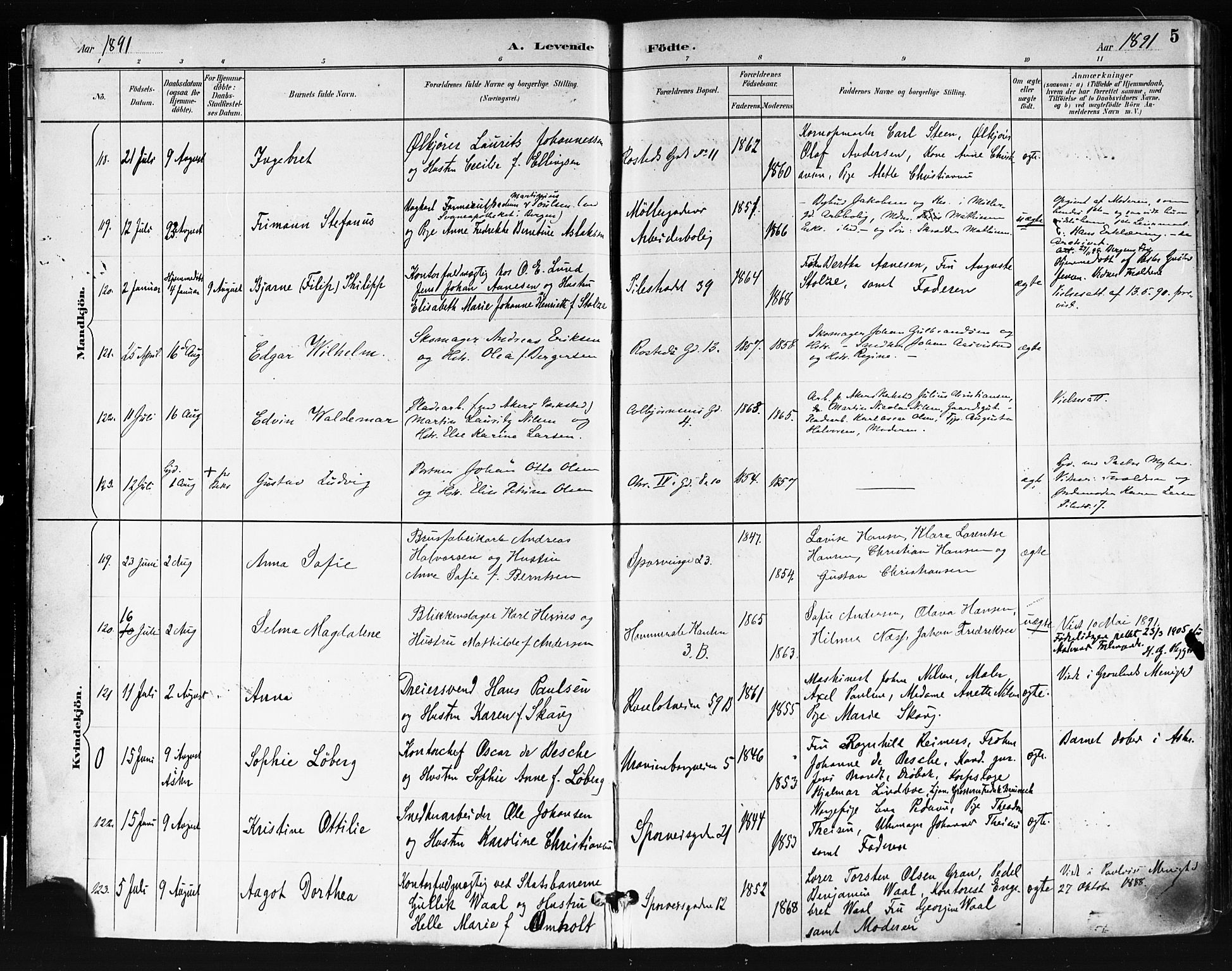 Trefoldighet prestekontor Kirkebøker, AV/SAO-A-10882/F/Fa/L0006: Parish register (official) no. I 6, 1891-1899, p. 5