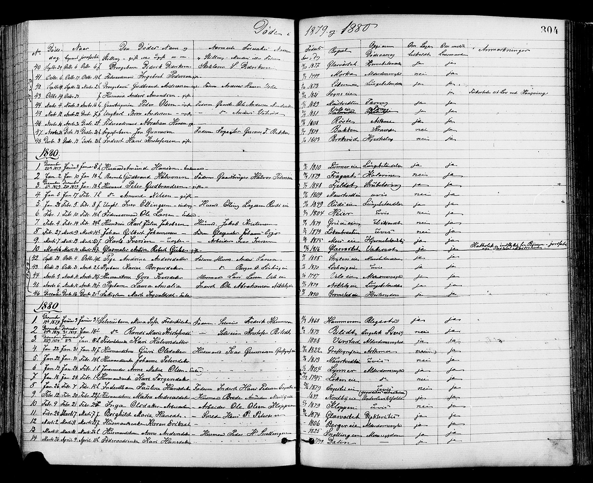 Jevnaker prestekontor, SAH/PREST-116/H/Ha/Haa/L0008: Parish register (official) no. 8, 1877-1890, p. 304