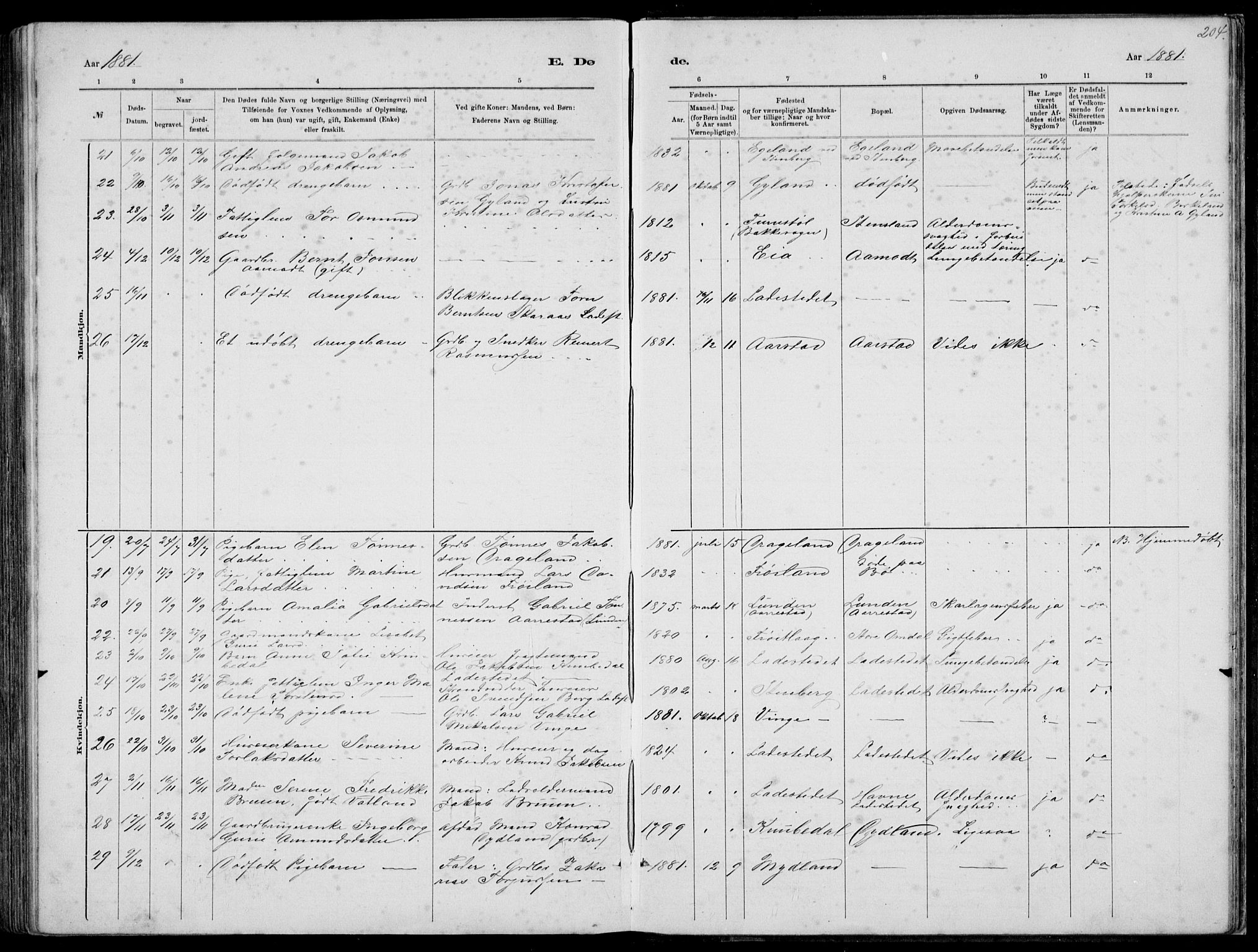 Sokndal sokneprestkontor, AV/SAST-A-101808: Parish register (copy) no. B 4, 1880-1891, p. 204