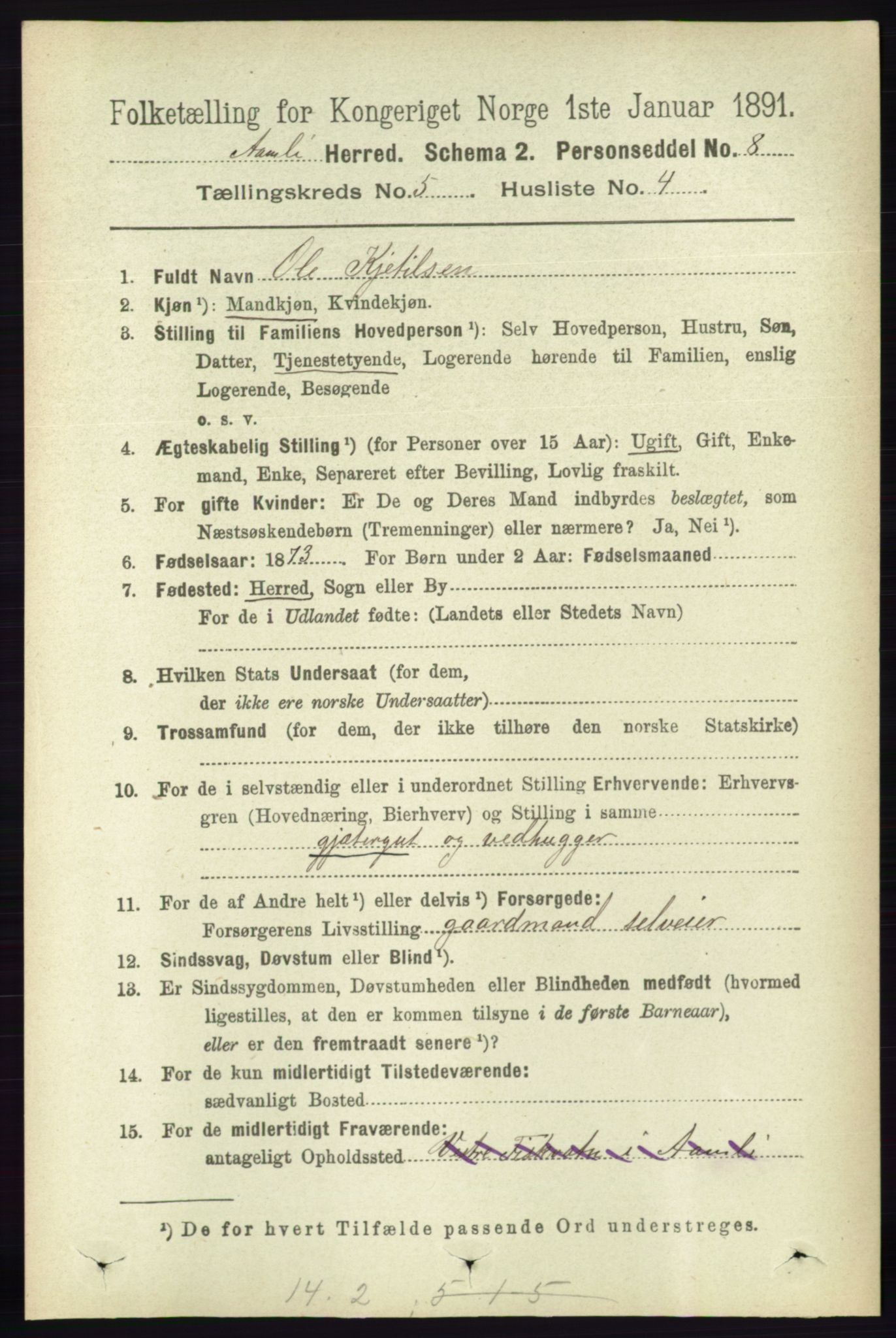 RA, 1891 census for 0929 Åmli, 1891, p. 710