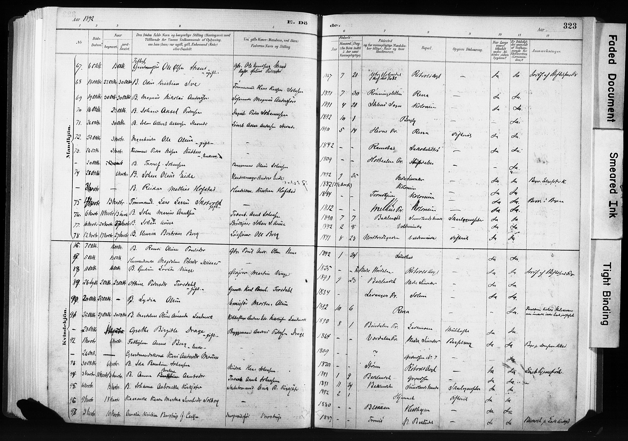 Ministerialprotokoller, klokkerbøker og fødselsregistre - Sør-Trøndelag, AV/SAT-A-1456/606/L0300: Parish register (official) no. 606A15, 1886-1893, p. 323