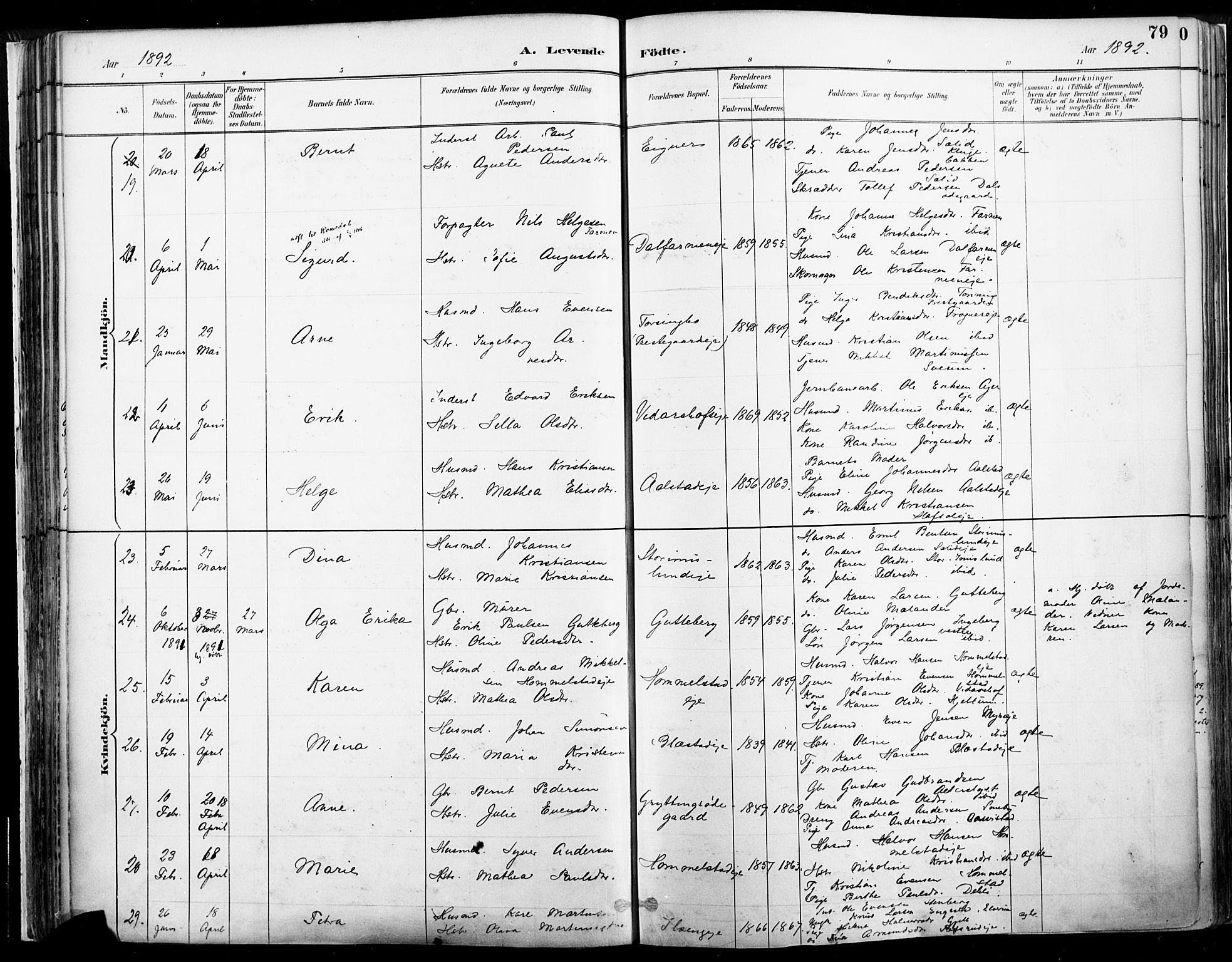 Vang prestekontor, Hedmark, AV/SAH-PREST-008/H/Ha/Haa/L0019A: Parish register (official) no. 19, 1886-1900, p. 79