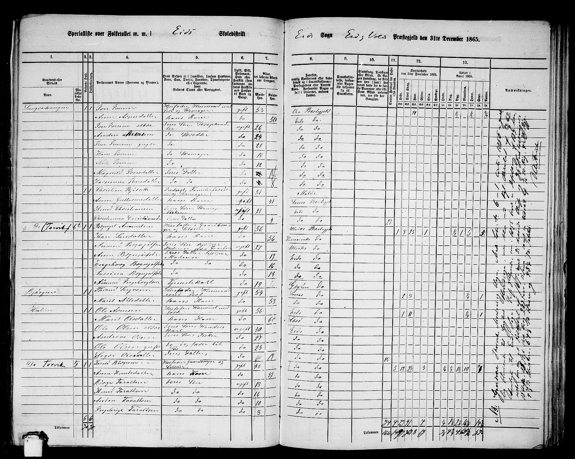 RA, 1865 census for Eid og Vold, 1865, p. 11