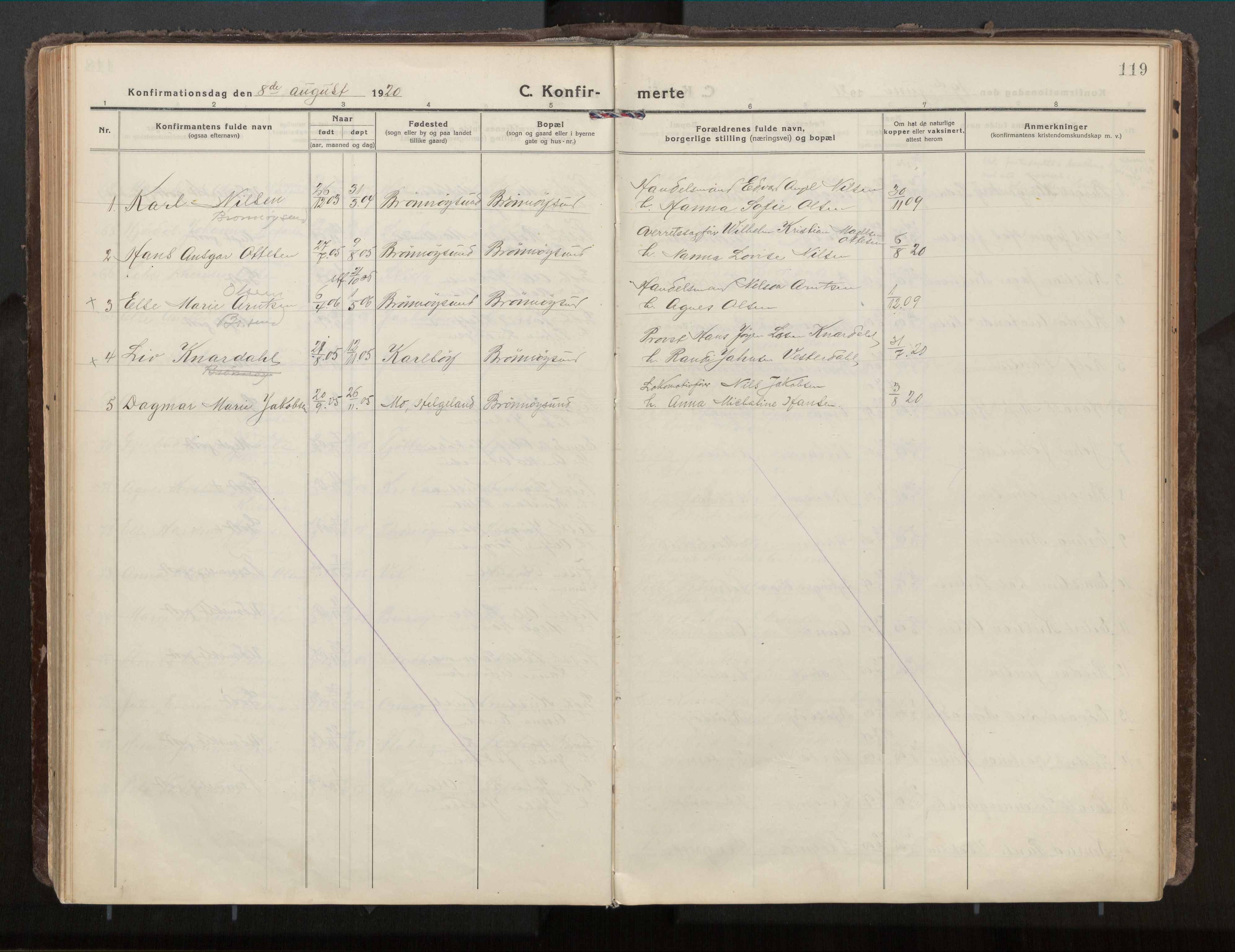 Ministerialprotokoller, klokkerbøker og fødselsregistre - Nordland, AV/SAT-A-1459/813/L0207a: Parish register (official) no. 813A18, 1919-1927, p. 119