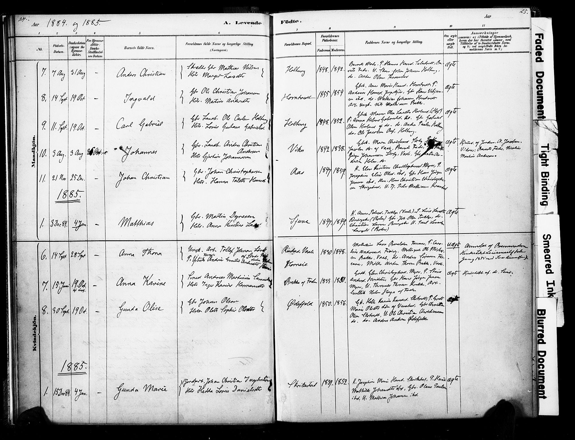 Ramnes kirkebøker, SAKO/A-314/F/Fb/L0001: Parish register (official) no. II 1, 1878-1894, p. 24-25