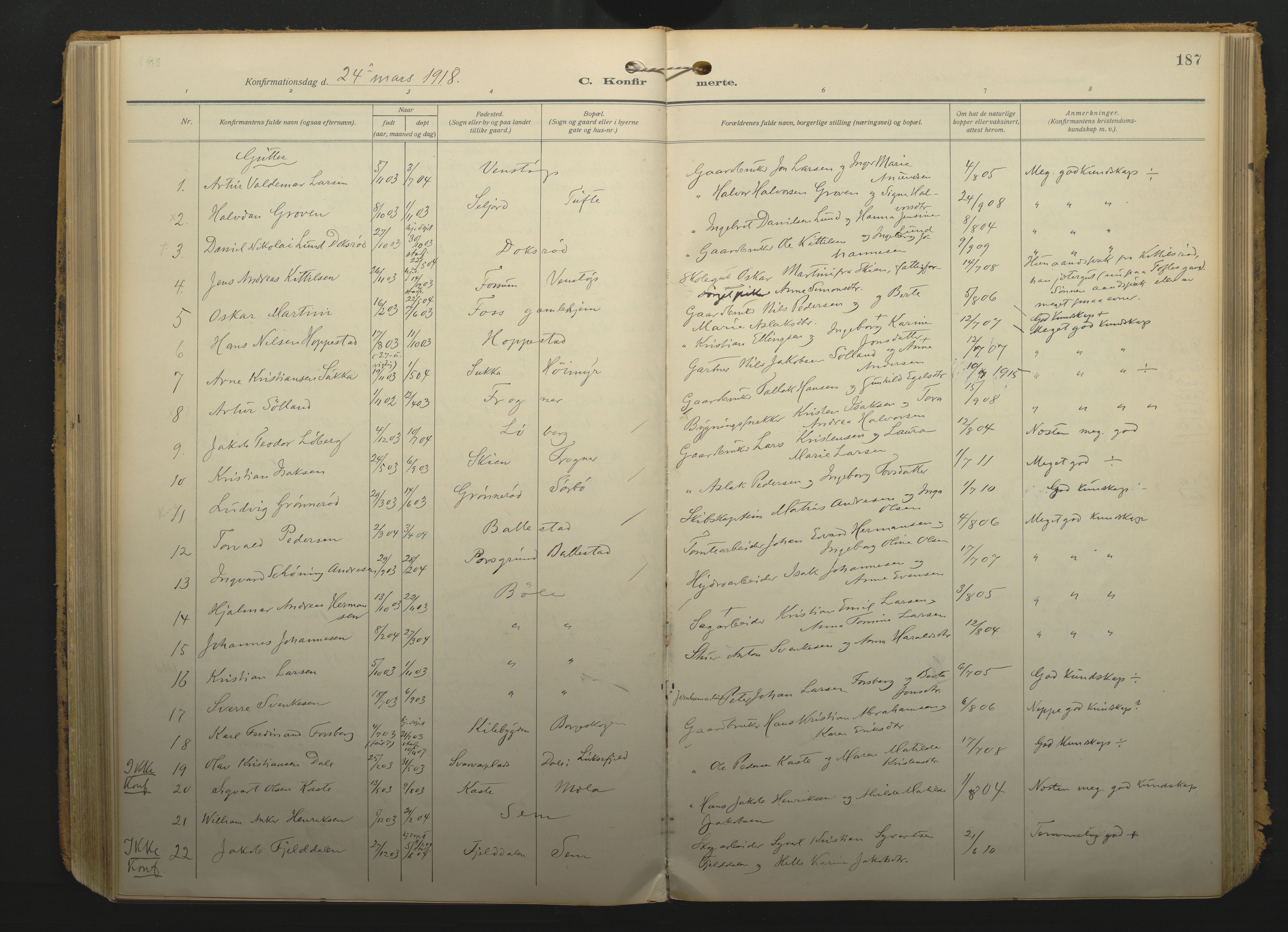 Gjerpen kirkebøker, SAKO/A-265/F/Fa/L0013: Parish register (official) no. I 13, 1914-1924, p. 187