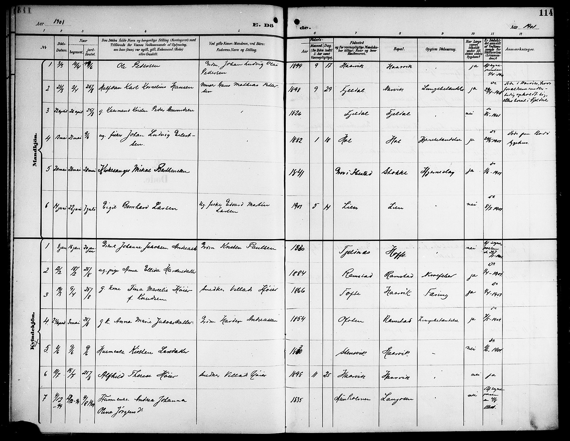 Ministerialprotokoller, klokkerbøker og fødselsregistre - Nordland, AV/SAT-A-1459/865/L0932: Parish register (copy) no. 865C04, 1901-1917, p. 114