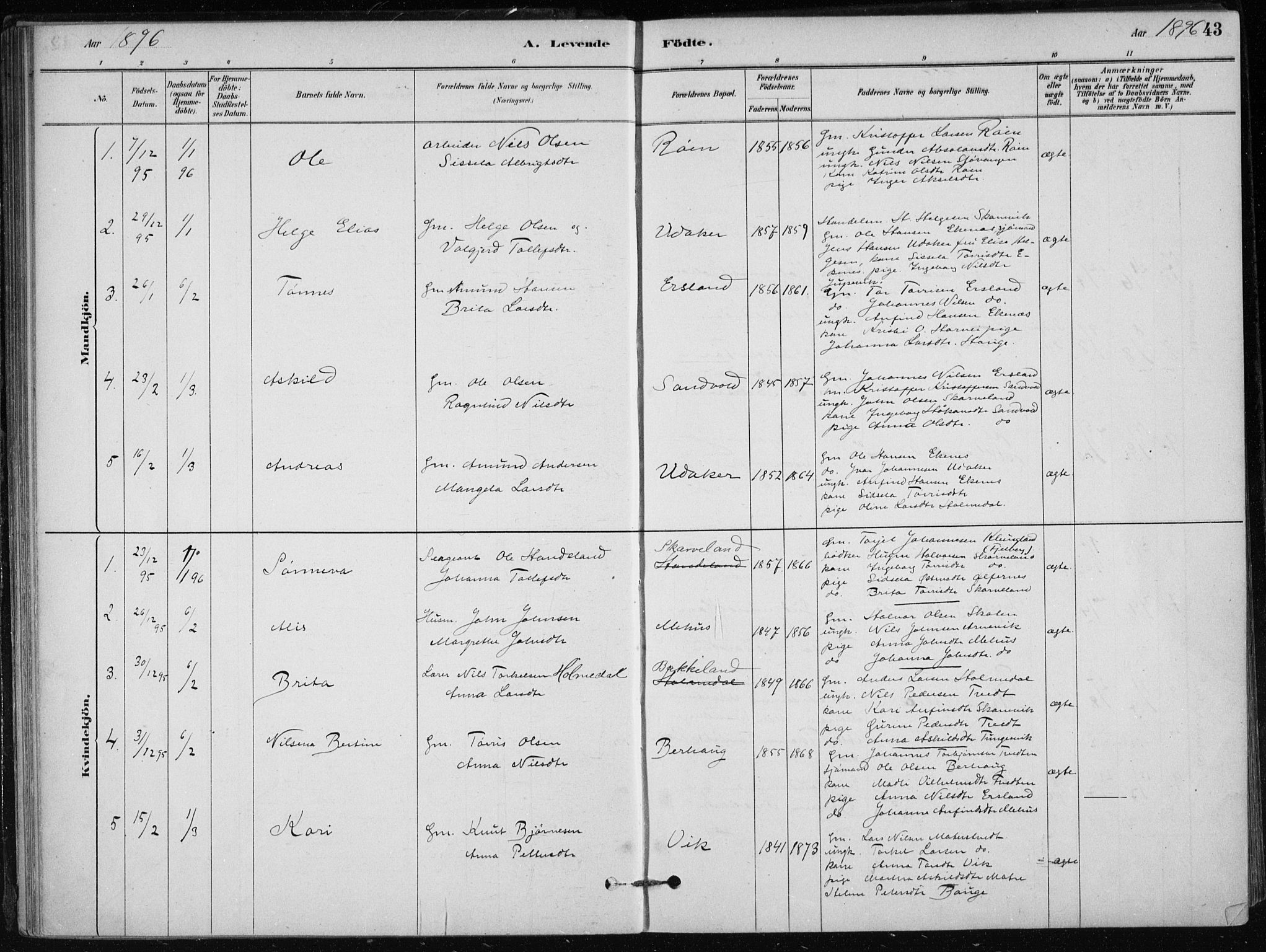 Skånevik sokneprestembete, SAB/A-77801/H/Haa: Parish register (official) no. C  1, 1879-1917, p. 43