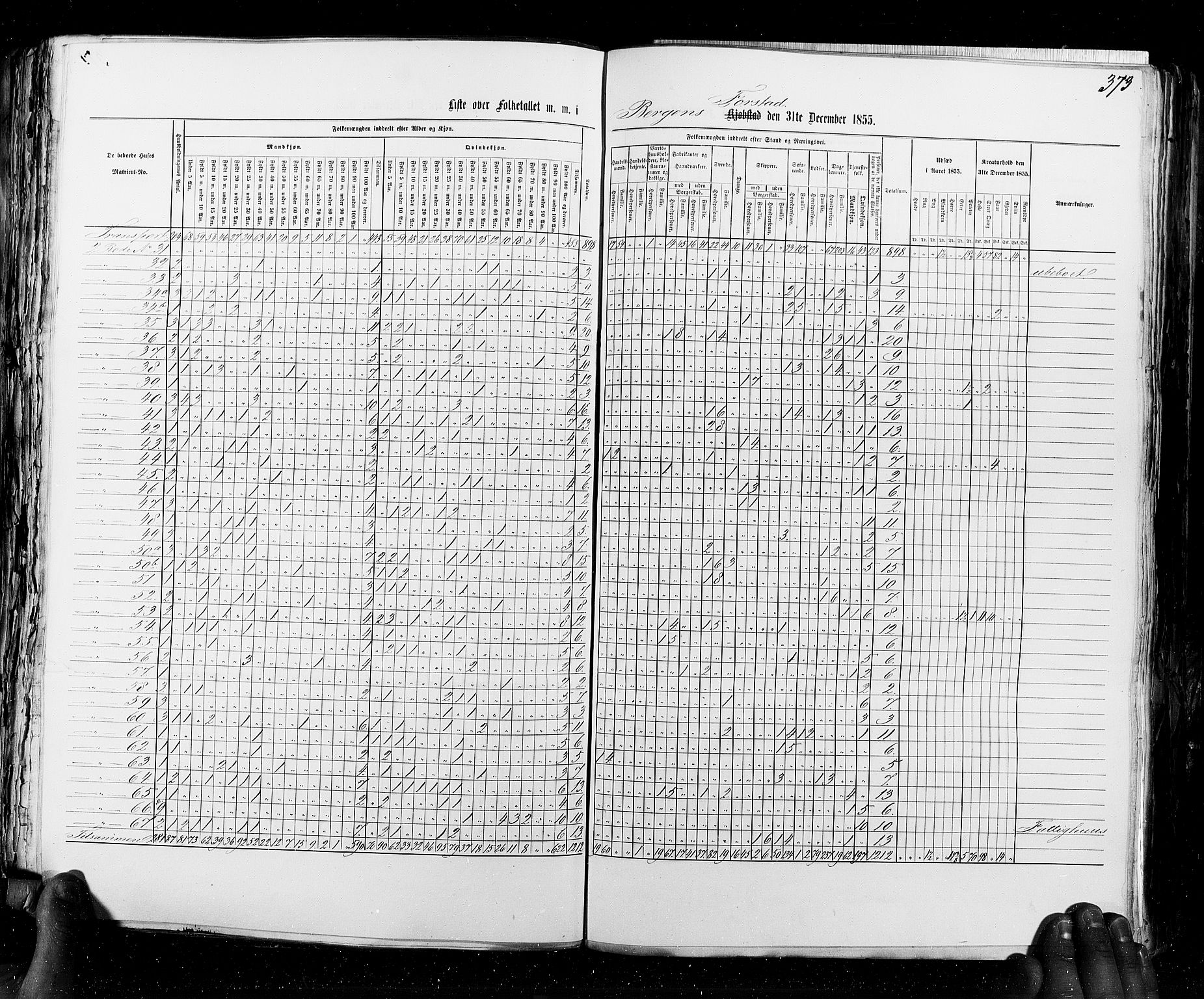 RA, Census 1855, vol. 8: Risør-Vadsø, 1855, p. 373