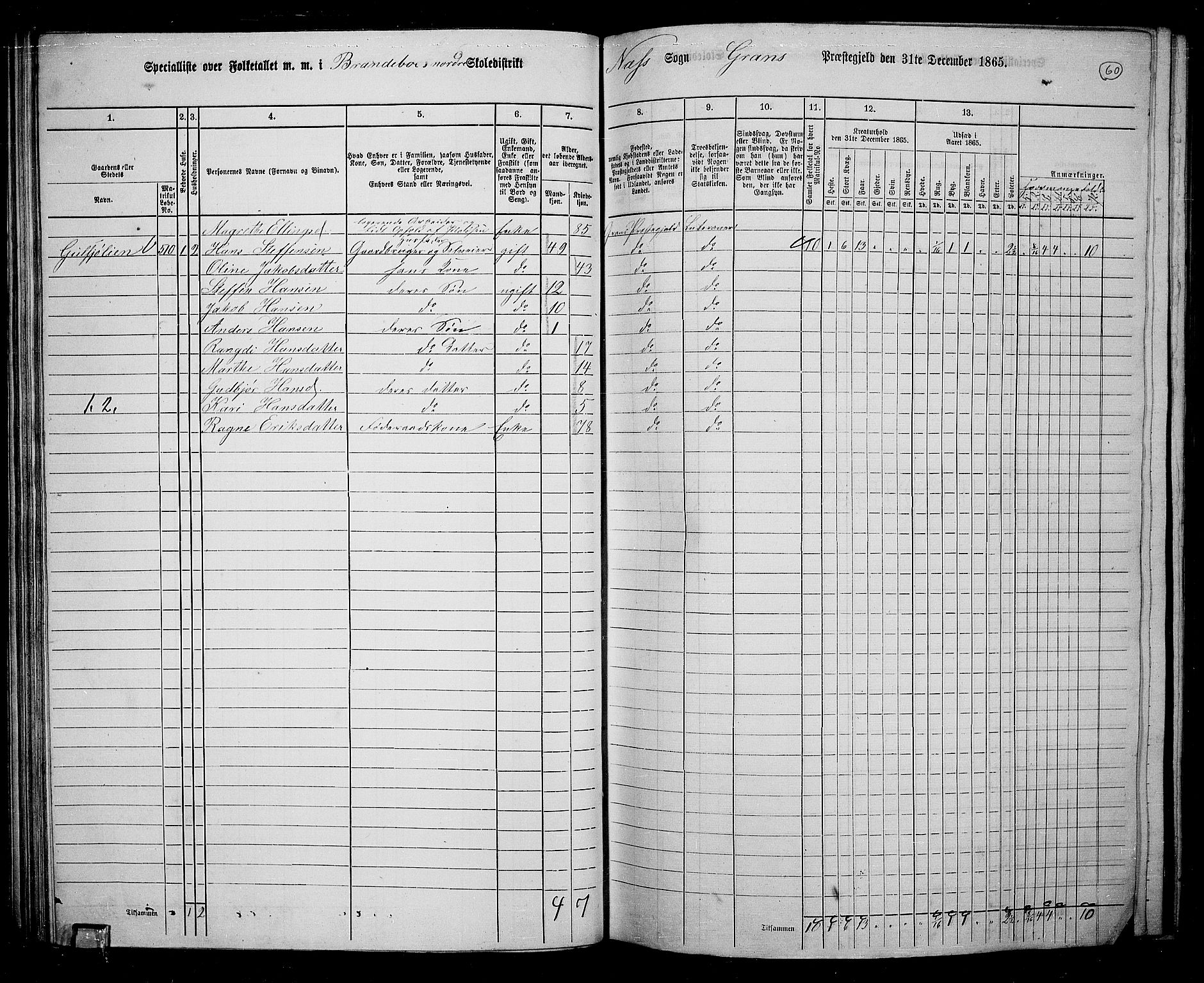 RA, 1865 census for Gran, 1865, p. 244