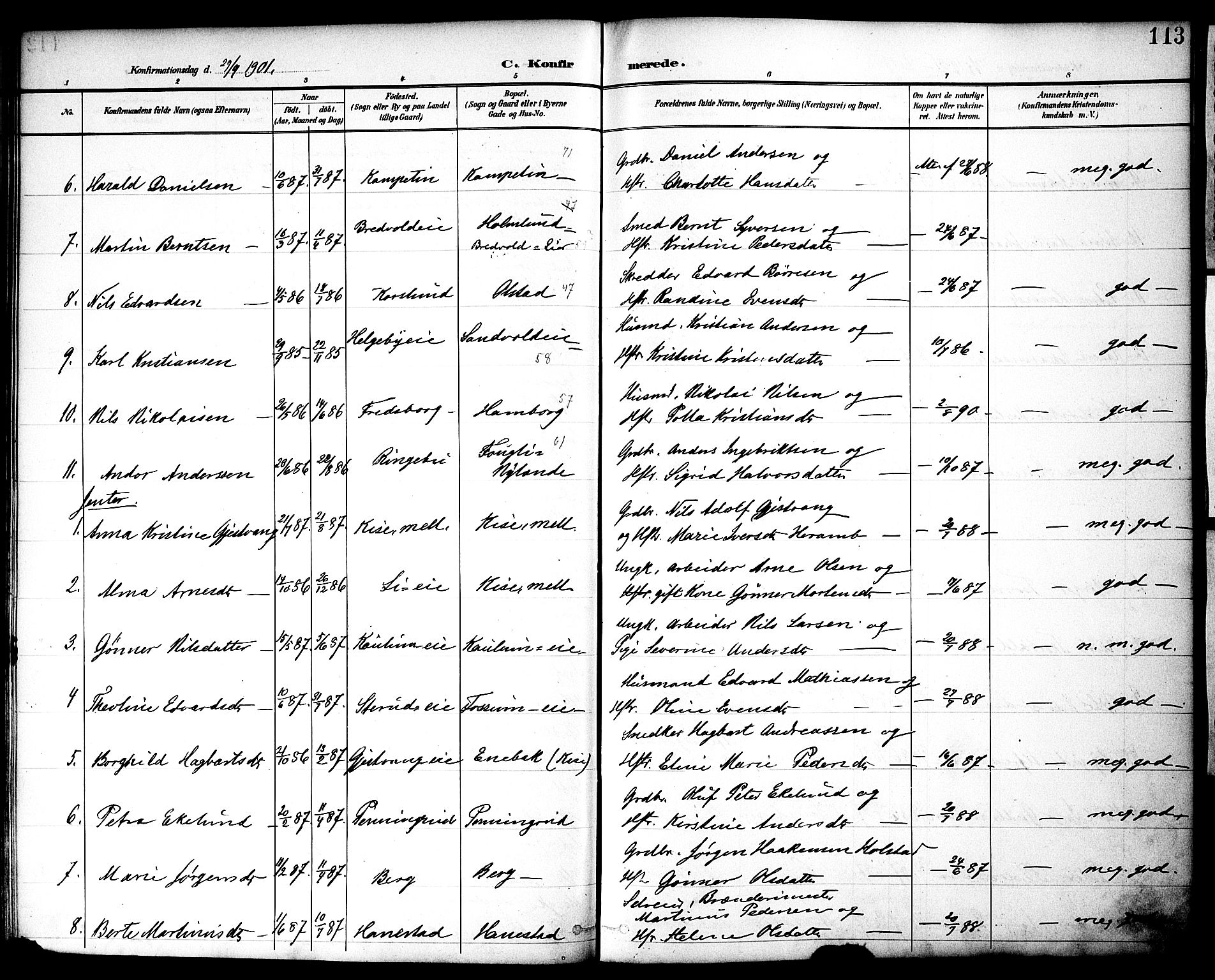 Nes prestekontor, Hedmark, AV/SAH-PREST-020/K/Ka/L0010: Parish register (official) no. 10, 1887-1905, p. 113