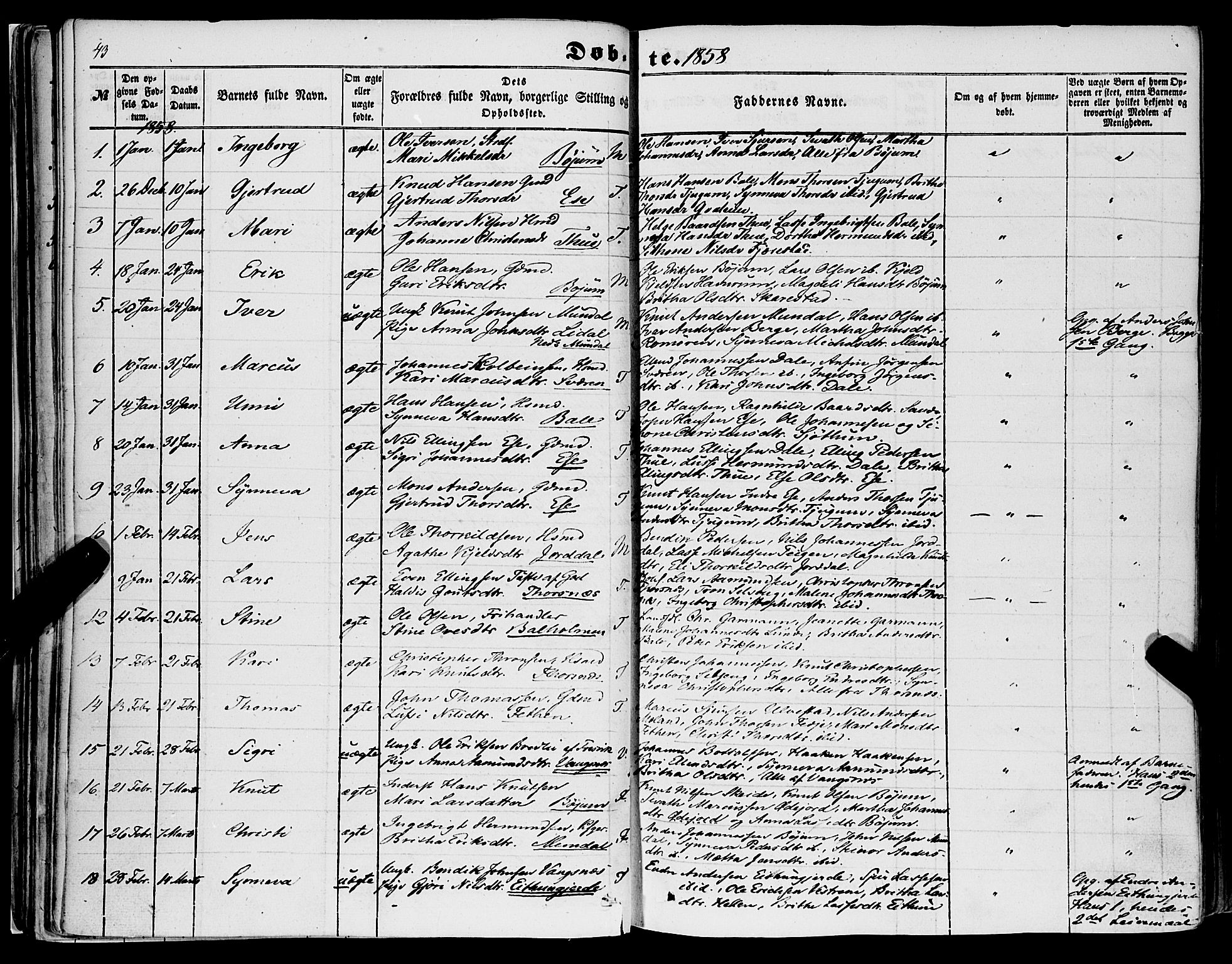 Balestrand sokneprestembete, AV/SAB-A-79601/H/Haa/Haaa/L0002: Parish register (official) no. A 2, 1847-1866, p. 43