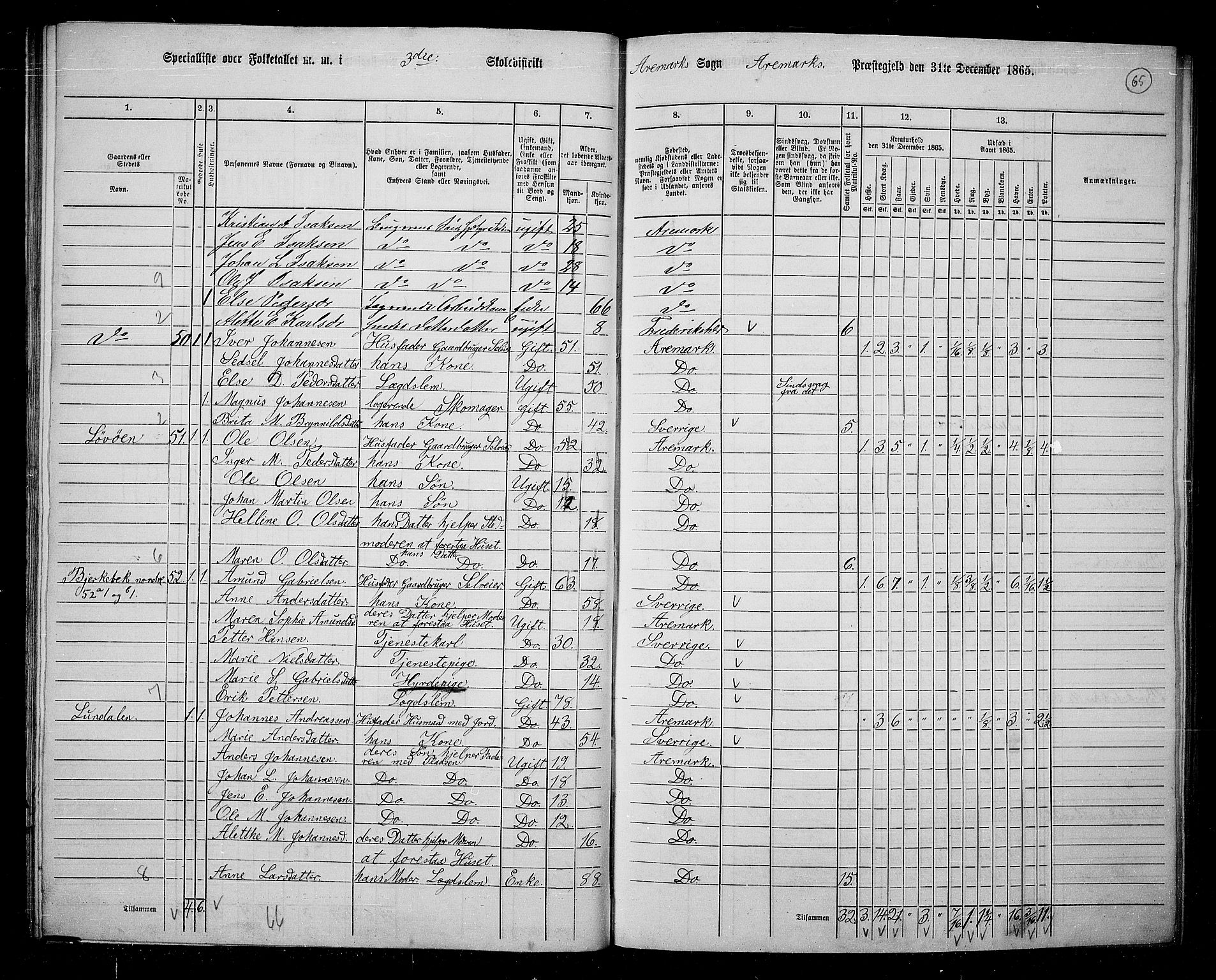 RA, 1865 census for Aremark, 1865, p. 60