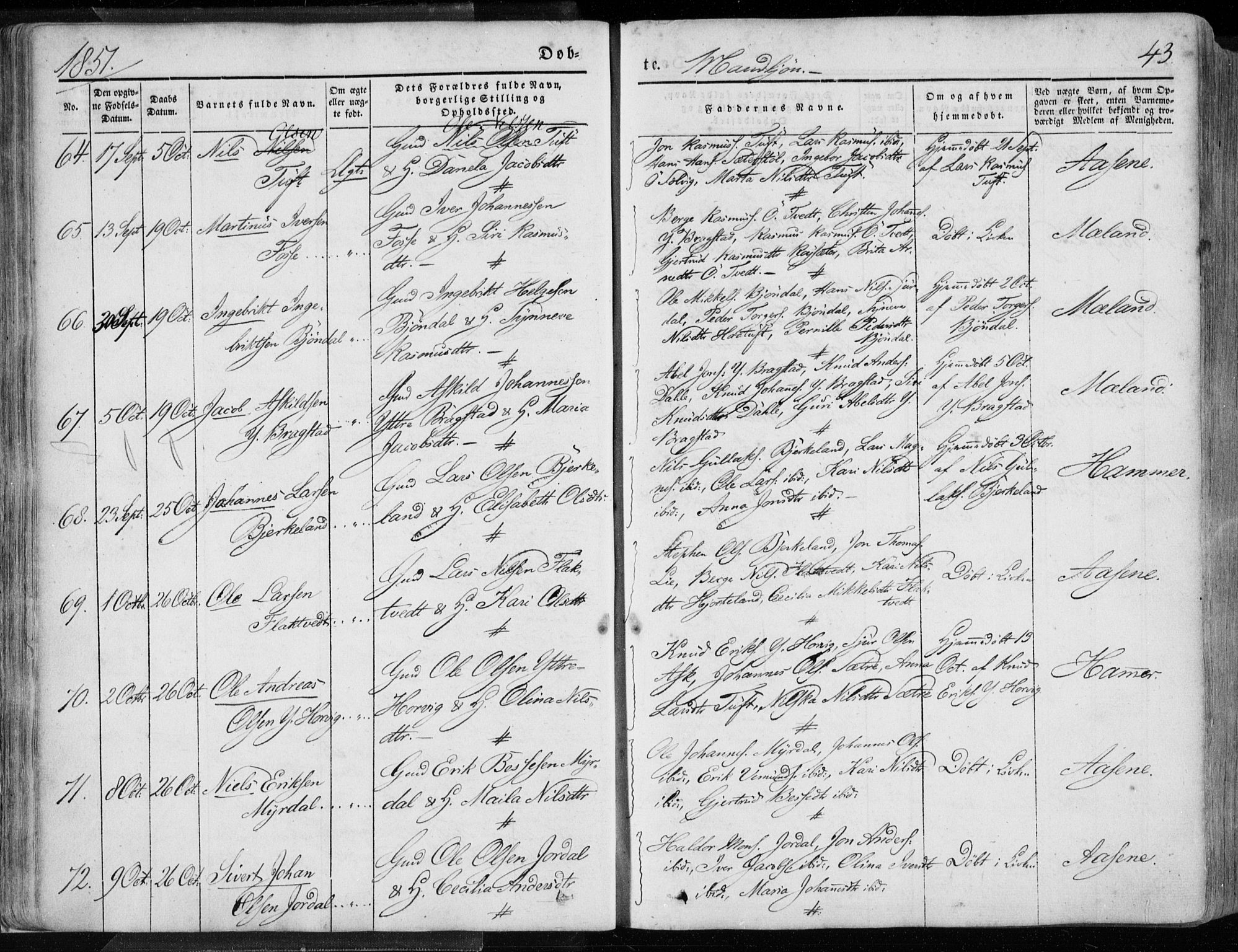 Hamre sokneprestembete, AV/SAB-A-75501/H/Ha/Haa/Haaa/L0013: Parish register (official) no. A 13, 1846-1857, p. 43