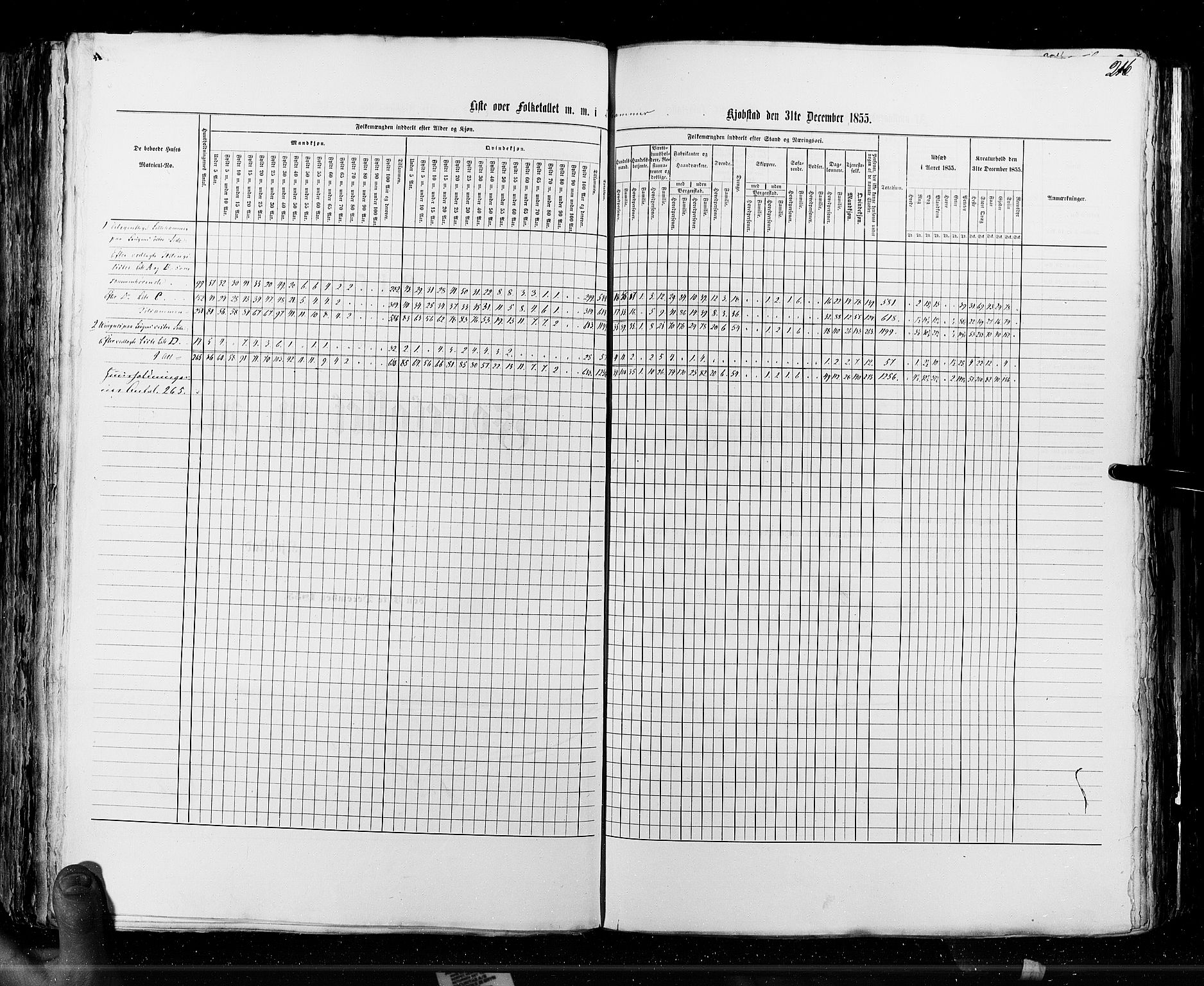 RA, Census 1855, vol. 7: Fredrikshald-Kragerø, 1855, p. 216