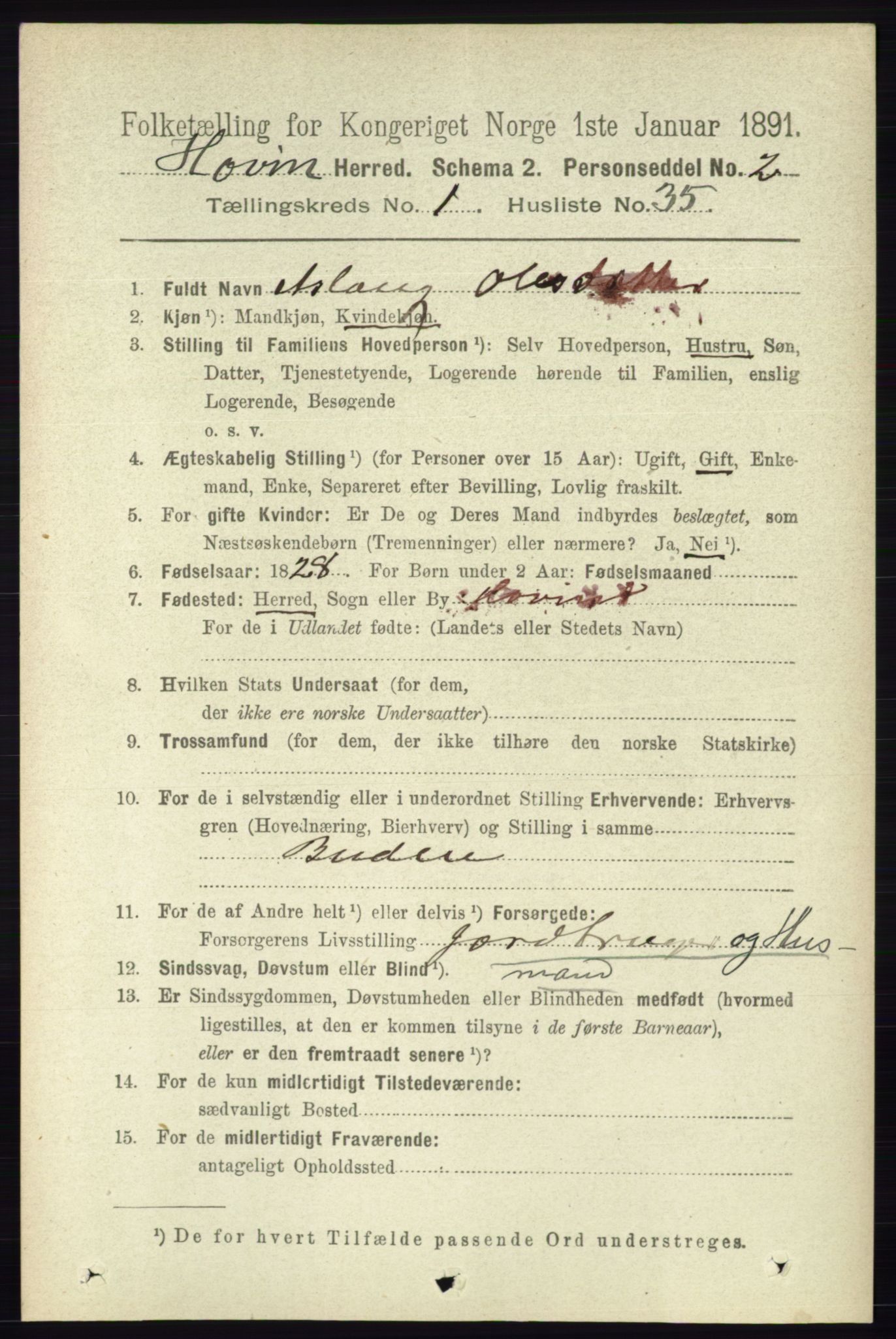 RA, 1891 census for 0825 Hovin, 1891, p. 291