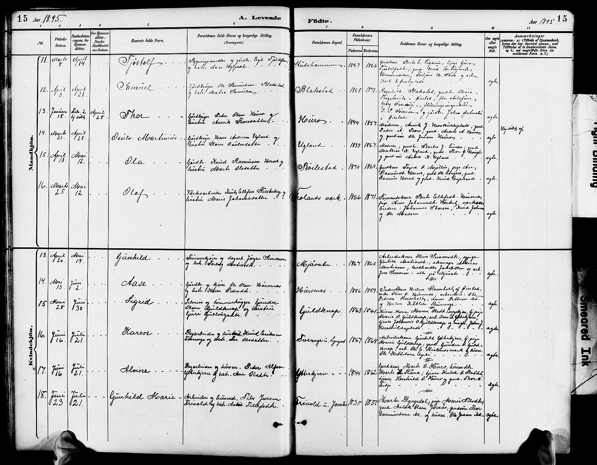 Froland sokneprestkontor, AV/SAK-1111-0013/F/Fb/L0010: Parish register (copy) no. B 10, 1893-1920, p. 15