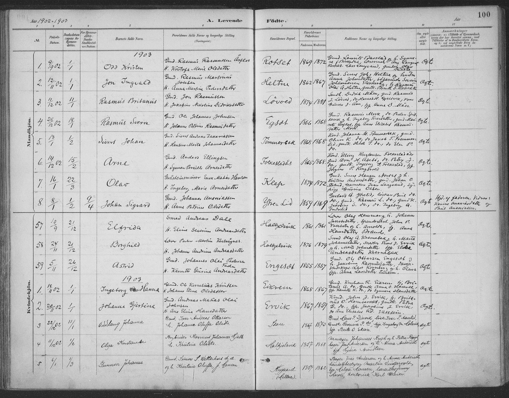 Ministerialprotokoller, klokkerbøker og fødselsregistre - Møre og Romsdal, AV/SAT-A-1454/511/L0142: Parish register (official) no. 511A09, 1891-1905, p. 100