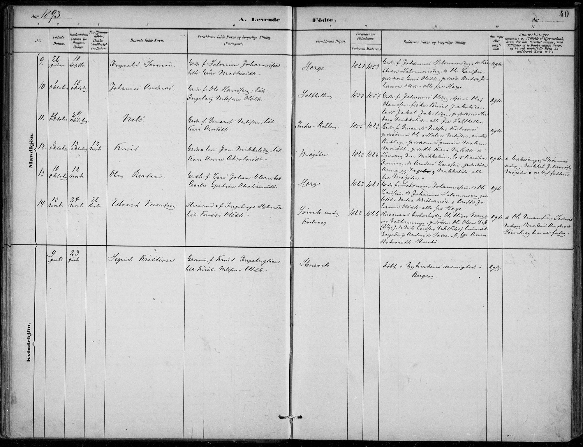 Sund sokneprestembete, AV/SAB-A-99930: Parish register (official) no. D 1, 1882-1899, p. 40