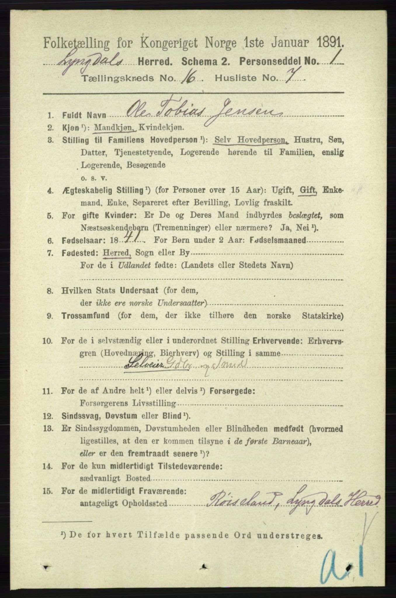 RA, 1891 census for 1032 Lyngdal, 1891, p. 6262