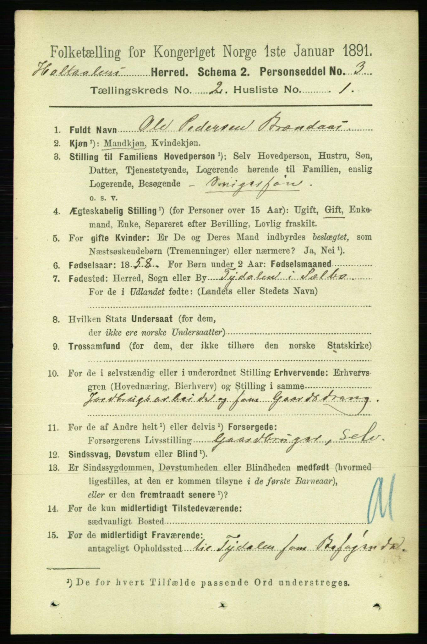 RA, 1891 census for 1645 Haltdalen, 1891, p. 675