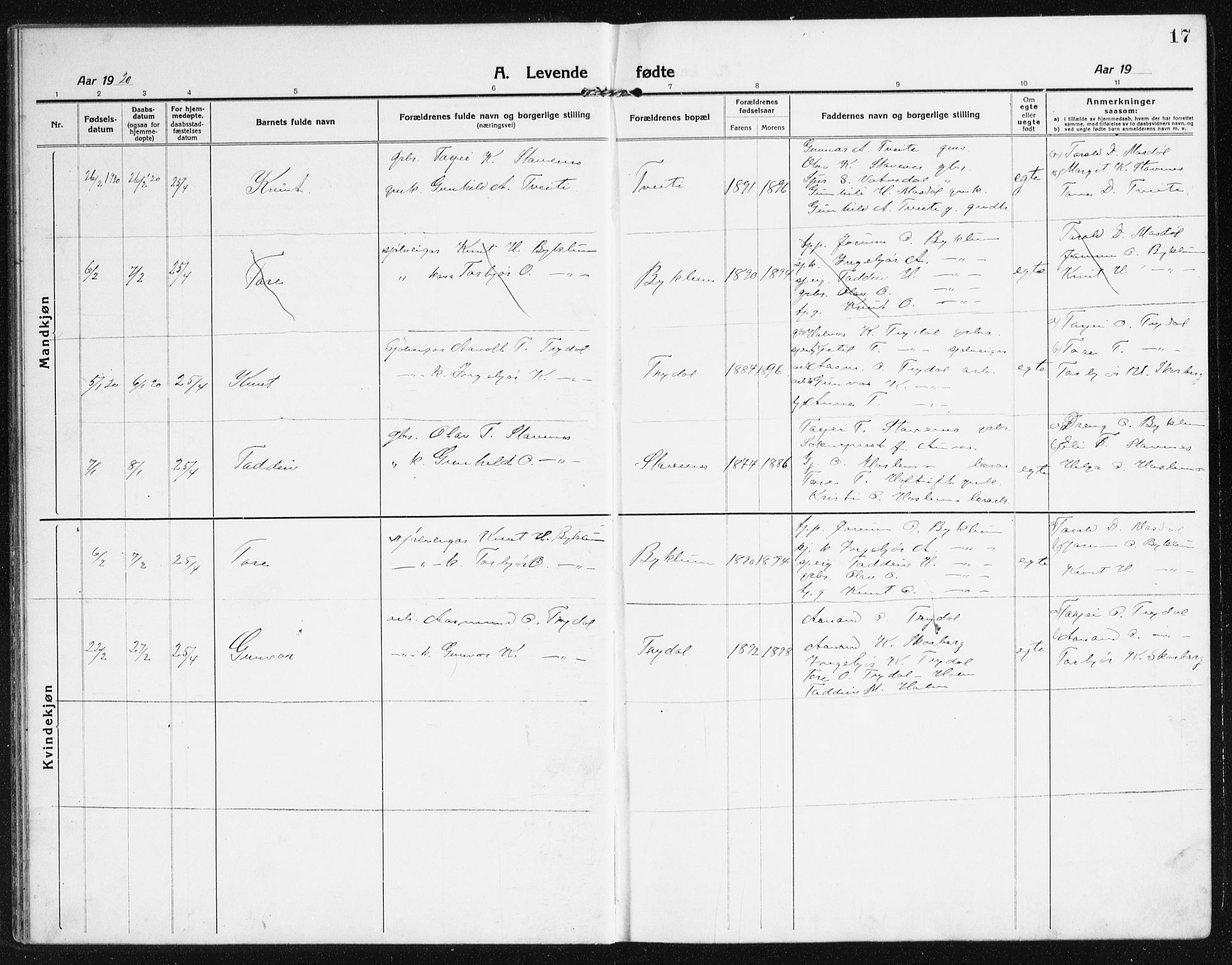 Valle sokneprestkontor, AV/SAK-1111-0044/F/Fb/Fba/L0004: Parish register (copy) no. B 4, 1917-1944, p. 17