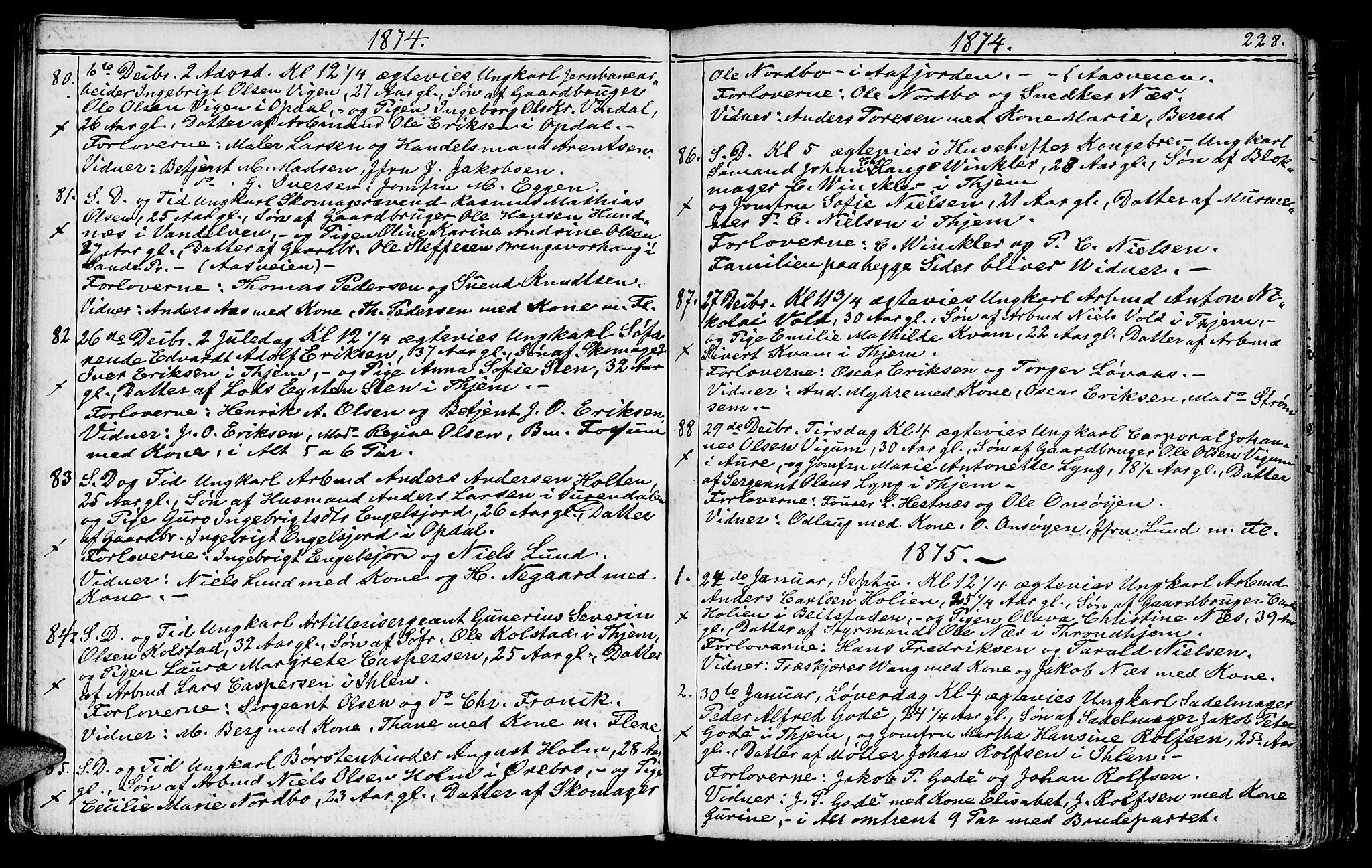 Ministerialprotokoller, klokkerbøker og fødselsregistre - Sør-Trøndelag, SAT/A-1456/602/L0142: Parish register (copy) no. 602C10, 1872-1894, p. 228