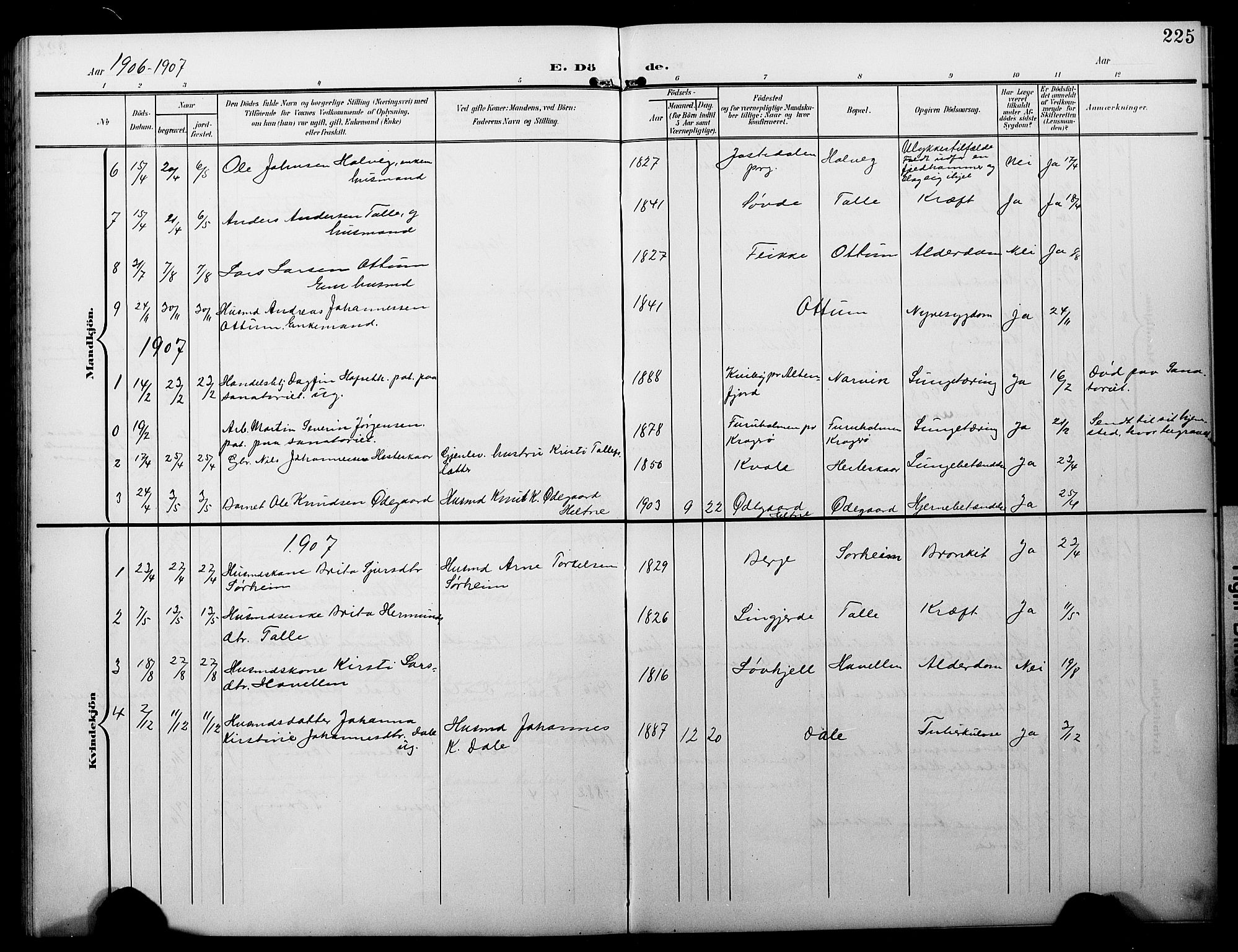 Luster sokneprestembete, AV/SAB-A-81101/H/Hab/Haba/L0001: Parish register (copy) no. A 1, 1903-1930, p. 225