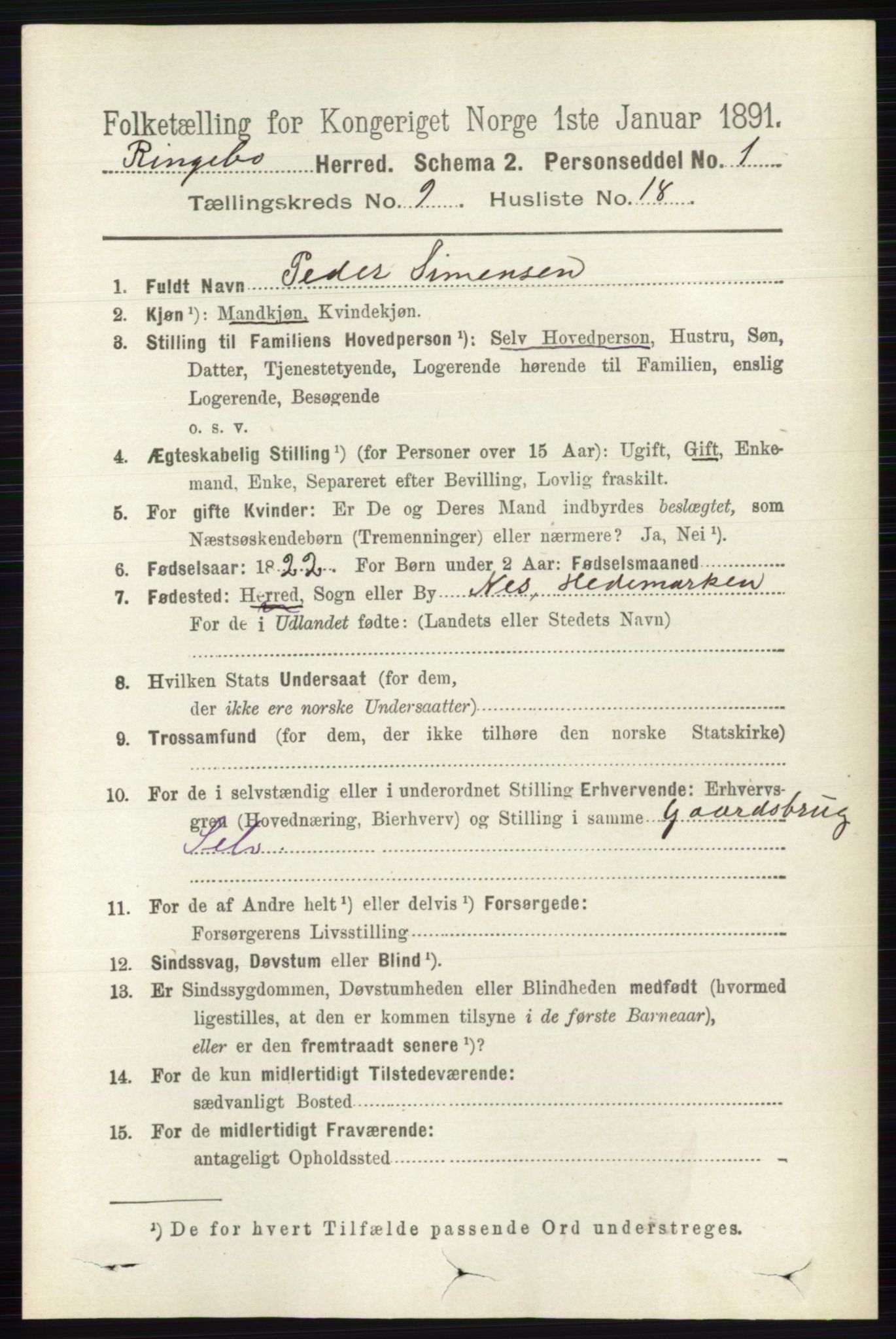 RA, 1891 census for 0520 Ringebu, 1891, p. 4353