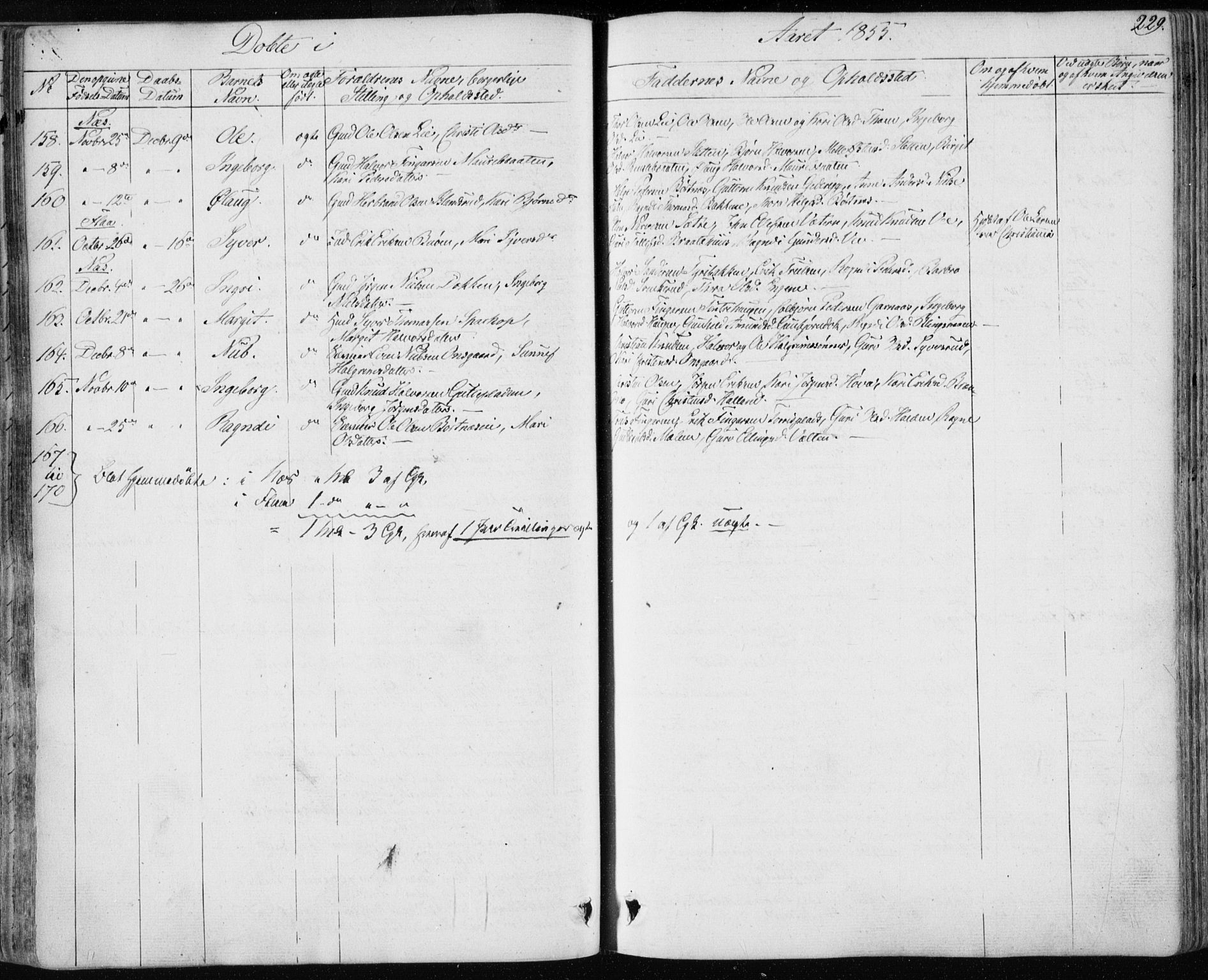 Nes kirkebøker, AV/SAKO-A-236/F/Fa/L0009: Parish register (official) no. 9, 1834-1863, p. 229