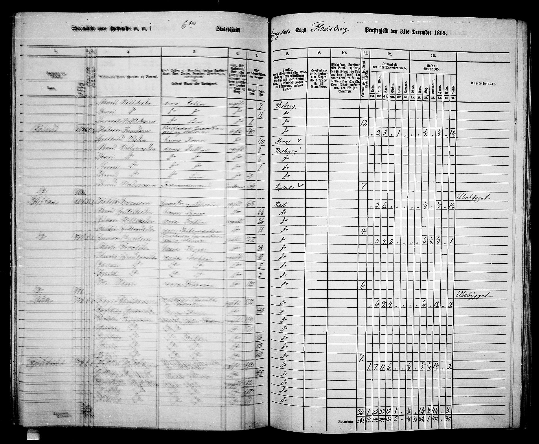 RA, 1865 census for Flesberg, 1865, p. 116