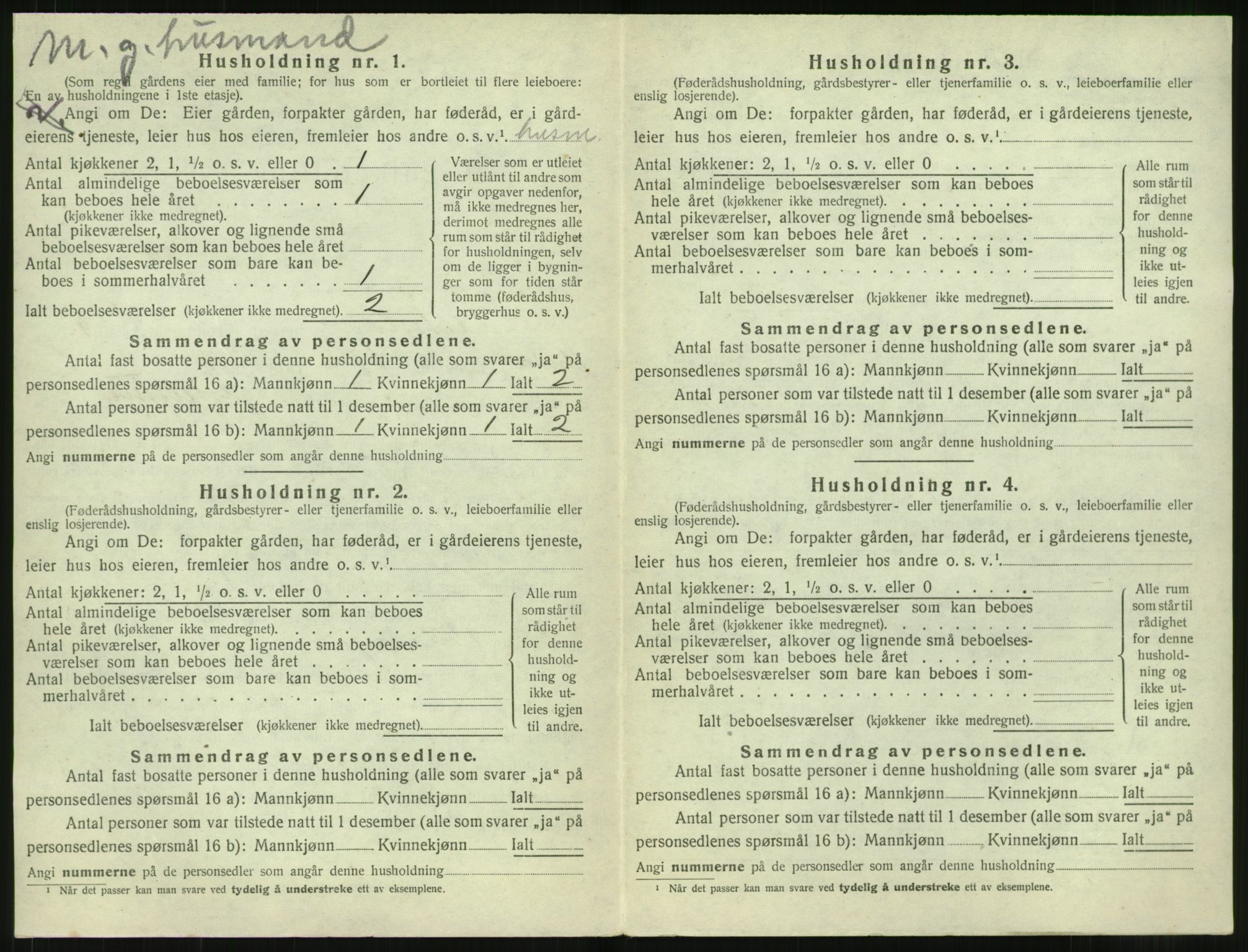 SAT, 1920 census for Vestnes, 1920, p. 1036