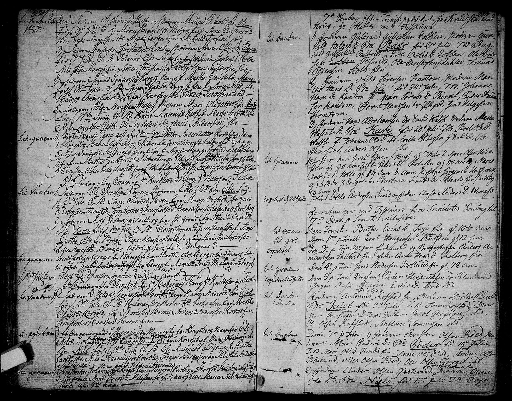 Eiker kirkebøker, SAKO/A-4/F/Fa/L0009: Parish register (official) no. I 9, 1789-1806, p. 295-296