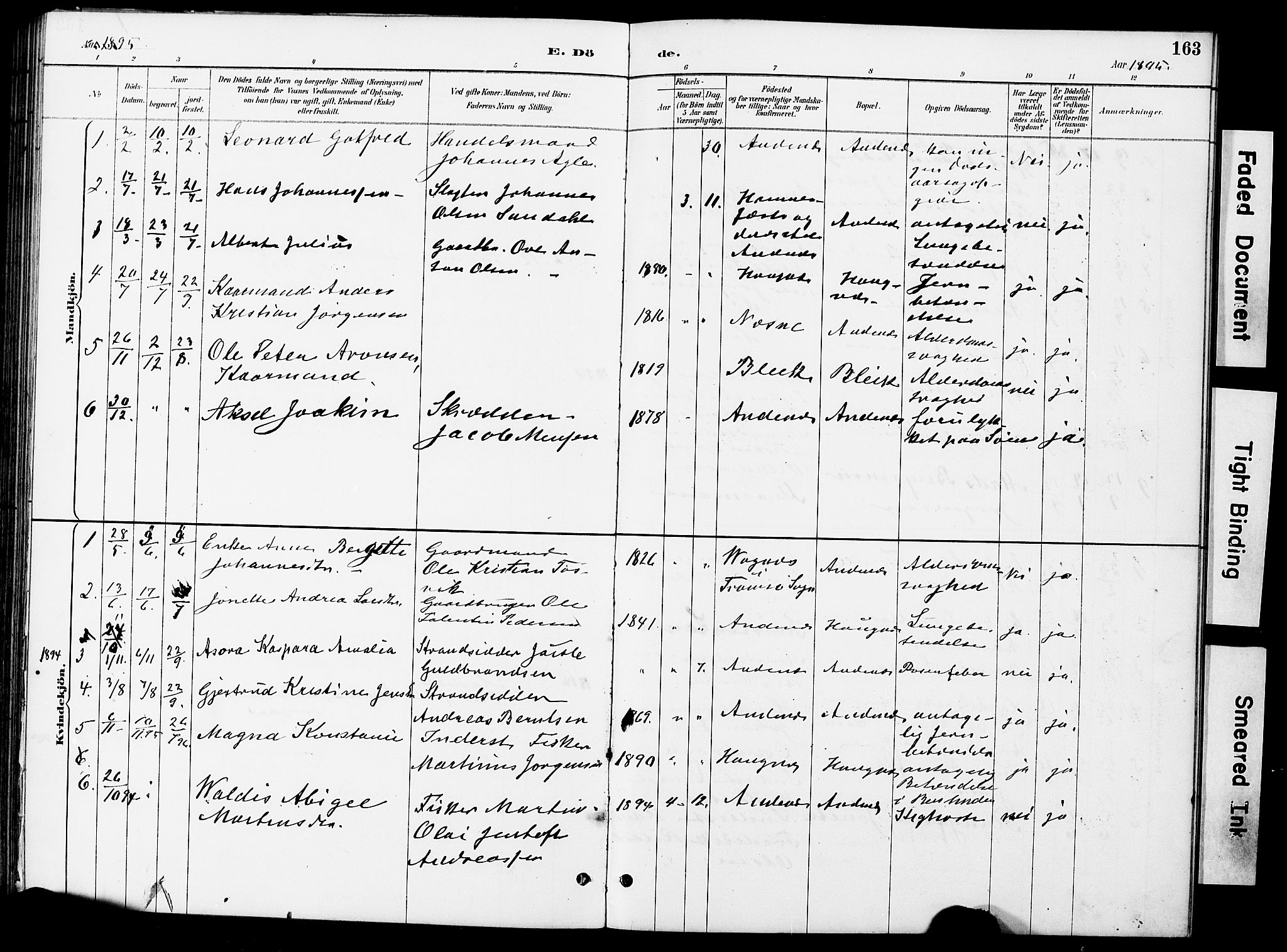 Ministerialprotokoller, klokkerbøker og fødselsregistre - Nordland, AV/SAT-A-1459/899/L1448: Parish register (copy) no. 899C03, 1887-1902, p. 163