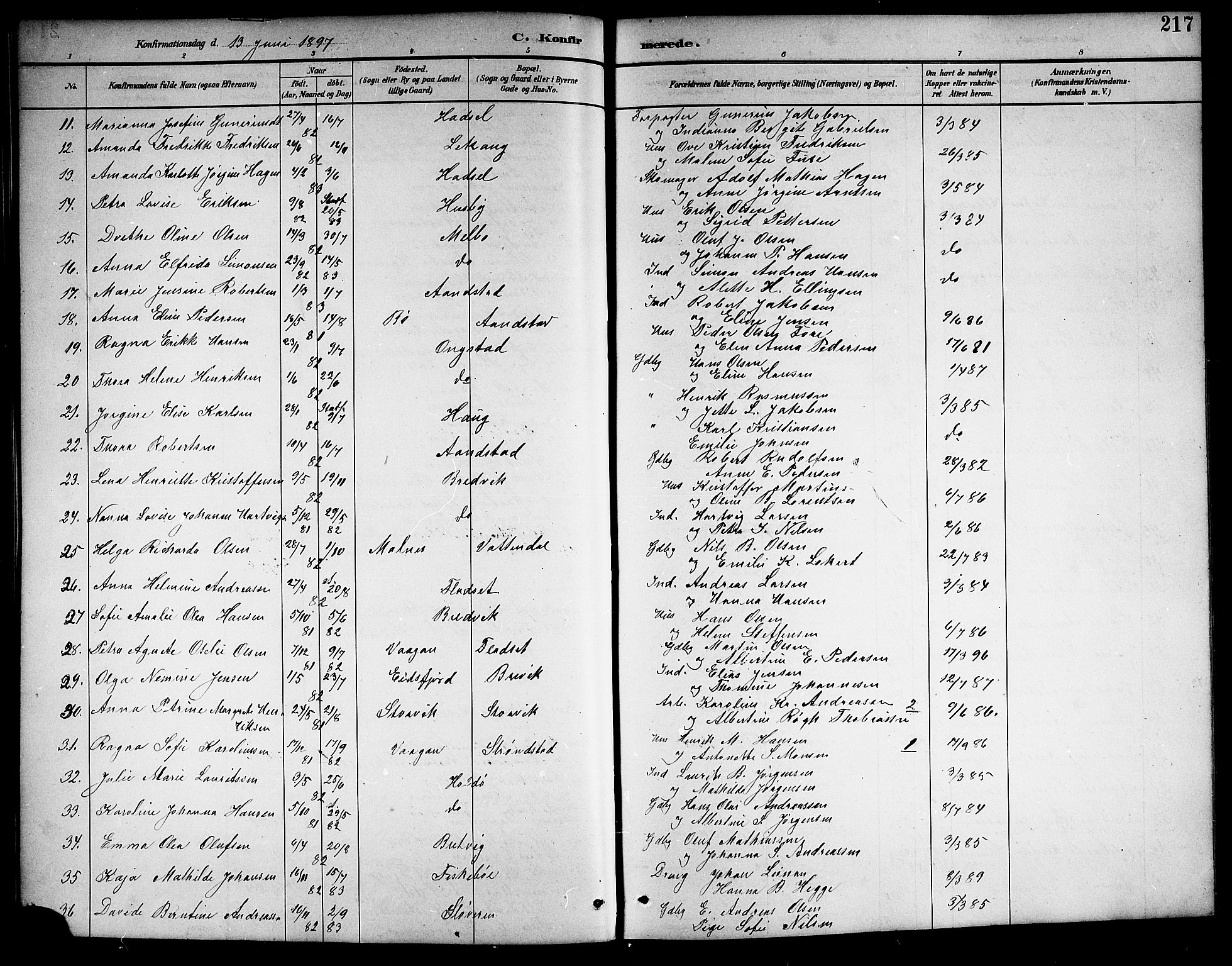 Ministerialprotokoller, klokkerbøker og fødselsregistre - Nordland, AV/SAT-A-1459/888/L1268: Parish register (copy) no. 888C06, 1891-1908, p. 217