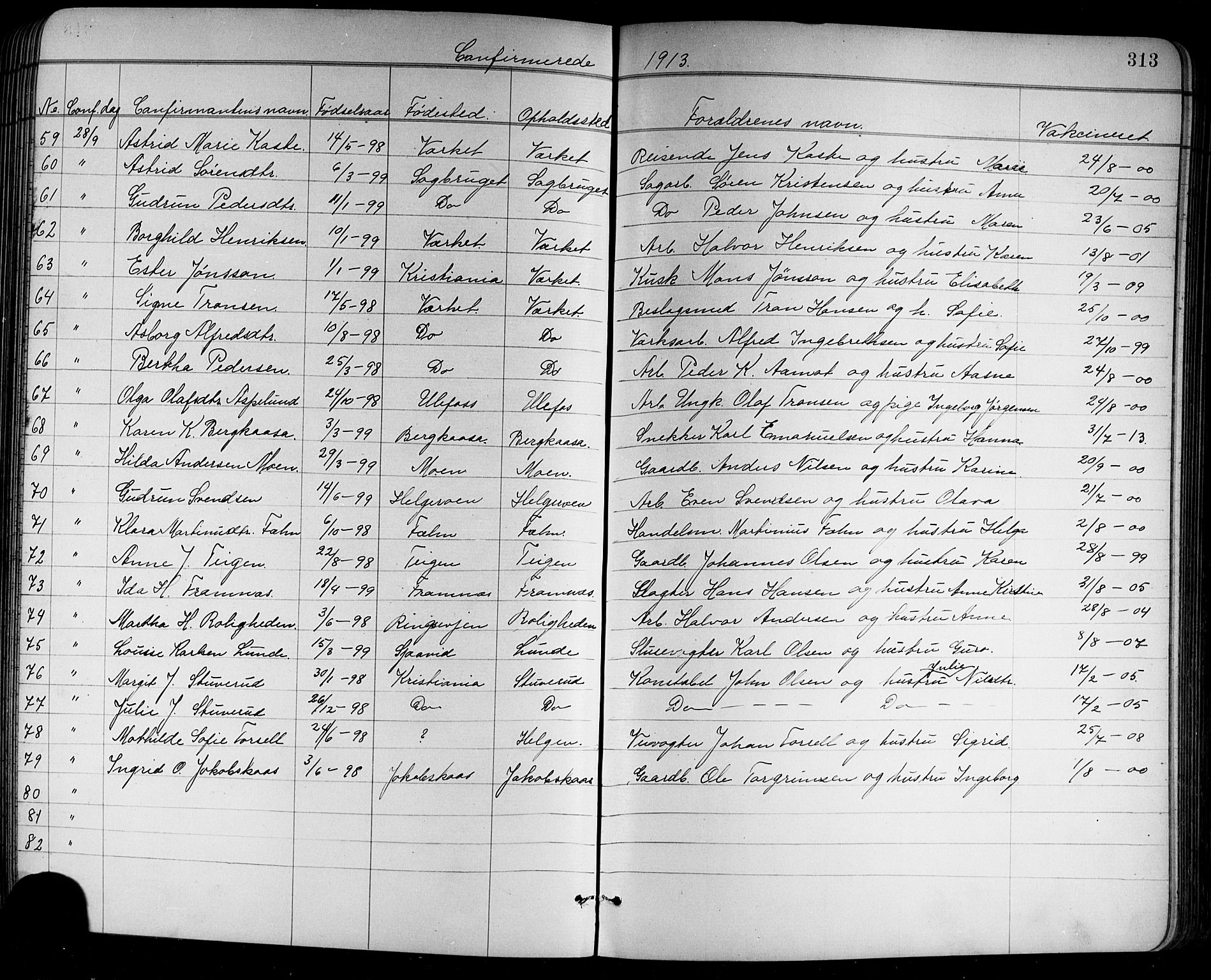 Holla kirkebøker, AV/SAKO-A-272/G/Ga/L0005: Parish register (copy) no. I 5, 1891-1917, p. 313